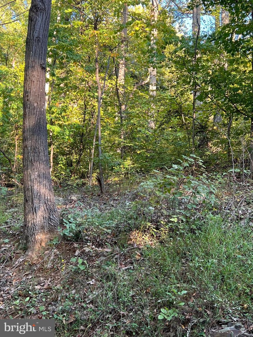Seller said making him an offer. Looking for a beautiful mountain view,  Look no further 3 lots combined in to one Lots are 452, 453 and 454 for a combined 1.28 acres.  Its located in the Shenandoah Farms Mountain Lake Sub-division. Great Location For Those Who Love The Outdoors. Perfect Access to I-66 and Minutes To Town of Front Royal. Enjoy Shenandoah Farms Riverview Boat Landing, with Access to the Shenandoah River, Farms River Road Rec Lot, Lake of the Clouds, Spring Lake, Shenandoah River Recreational Lot, Treasure Island, & Community Center. Visit Shenandoah Farms Website For More Info. Property Is Located in a Sanitary District. Call listing agent for more details