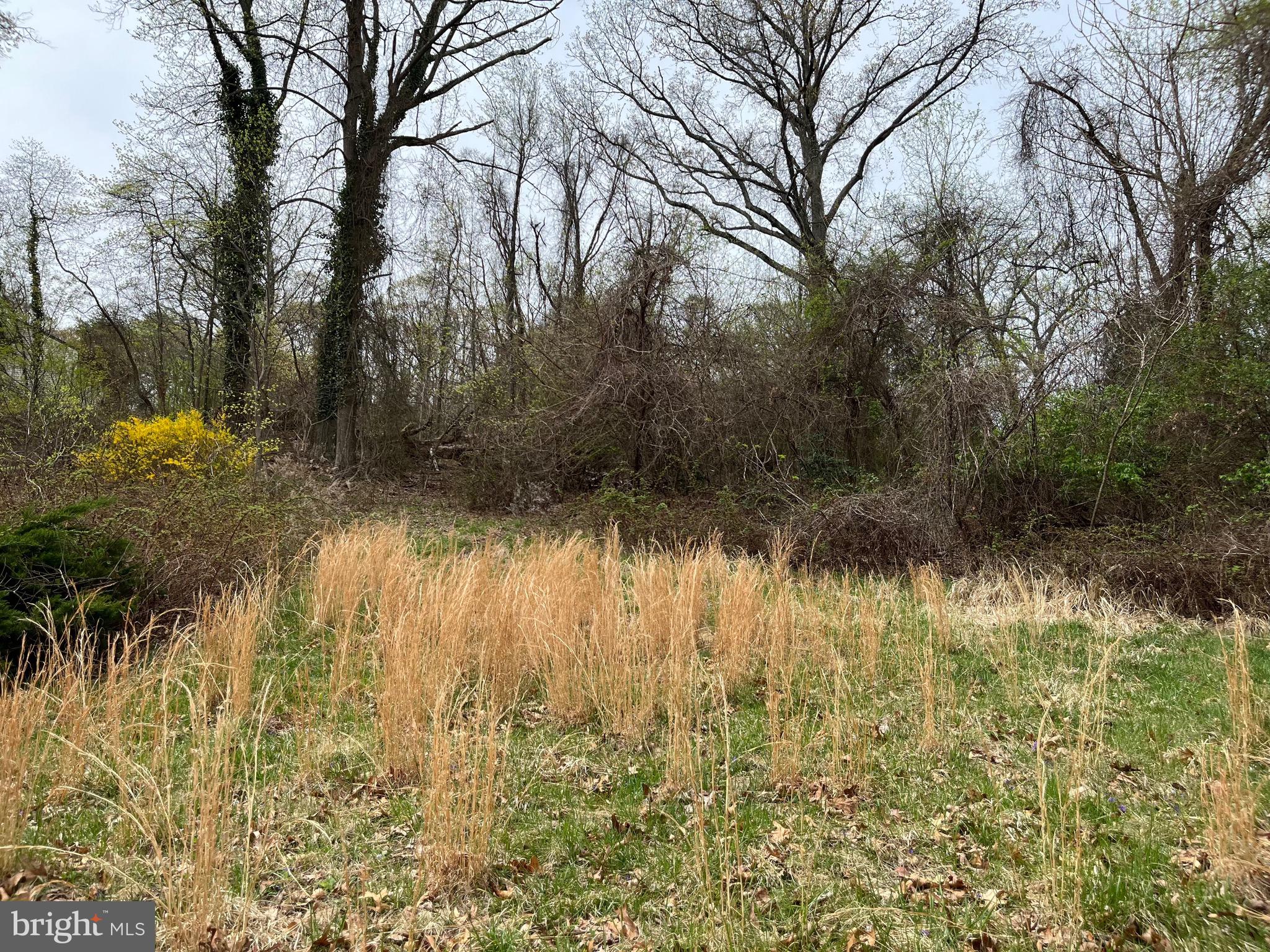 SHORE ACRES - Residential