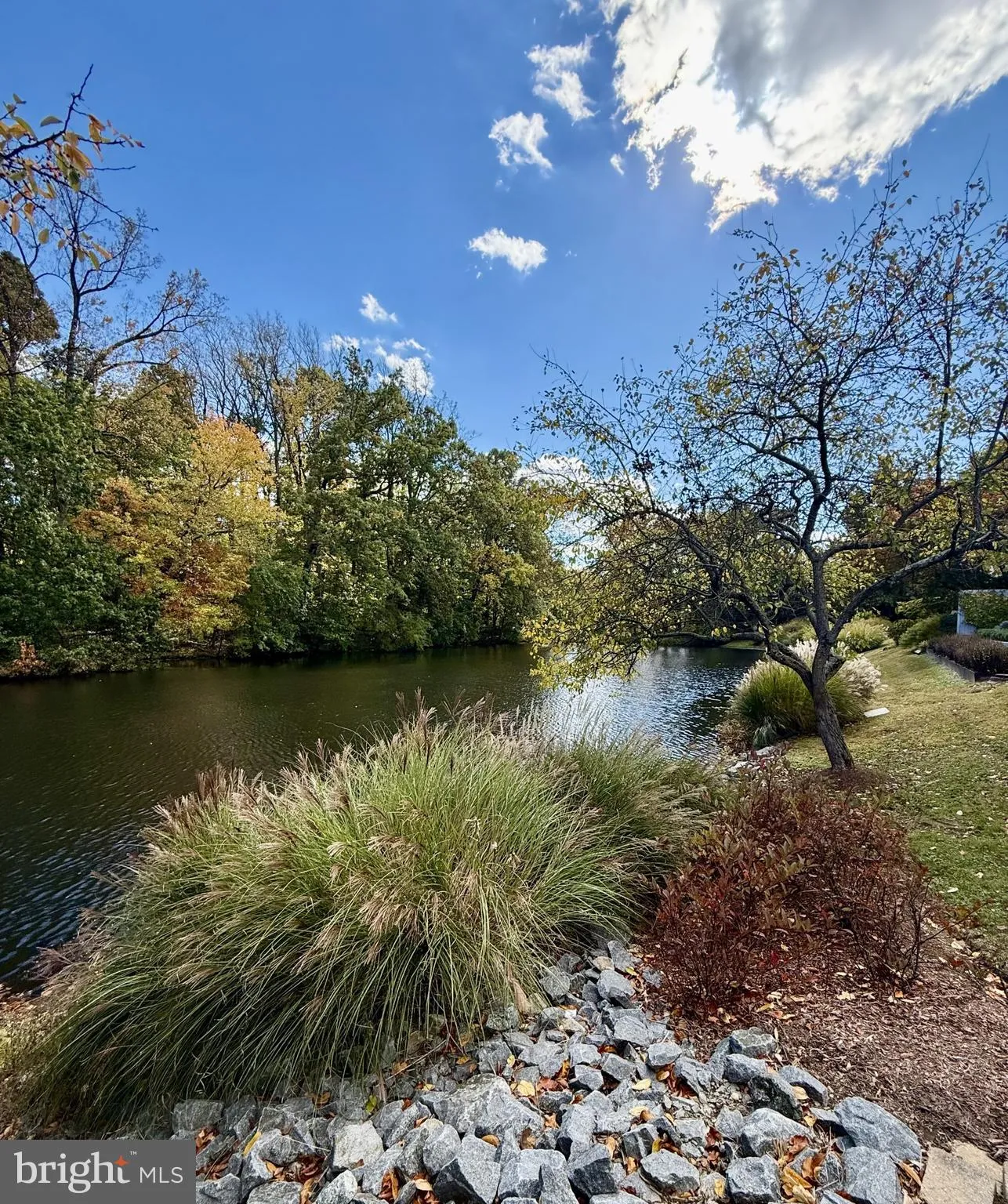 McLean, Virginia 22101, United States, 4 Bedrooms Bedrooms, ,4 BathroomsBathrooms,Residential,Coming Soon,228913