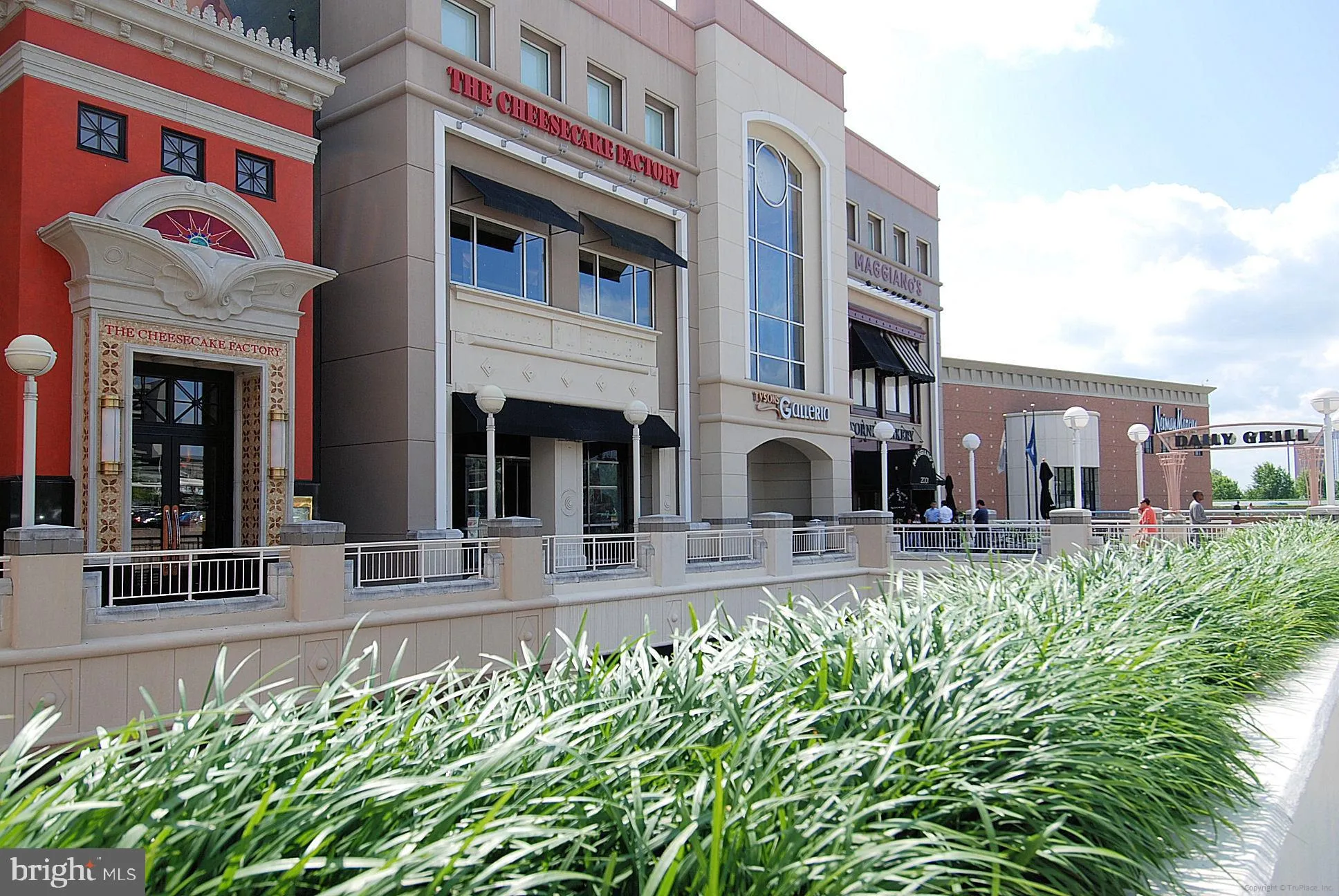 McLean, Virginia 22101, United States, 4 Bedrooms Bedrooms, ,4 BathroomsBathrooms,Residential,Coming Soon,228913