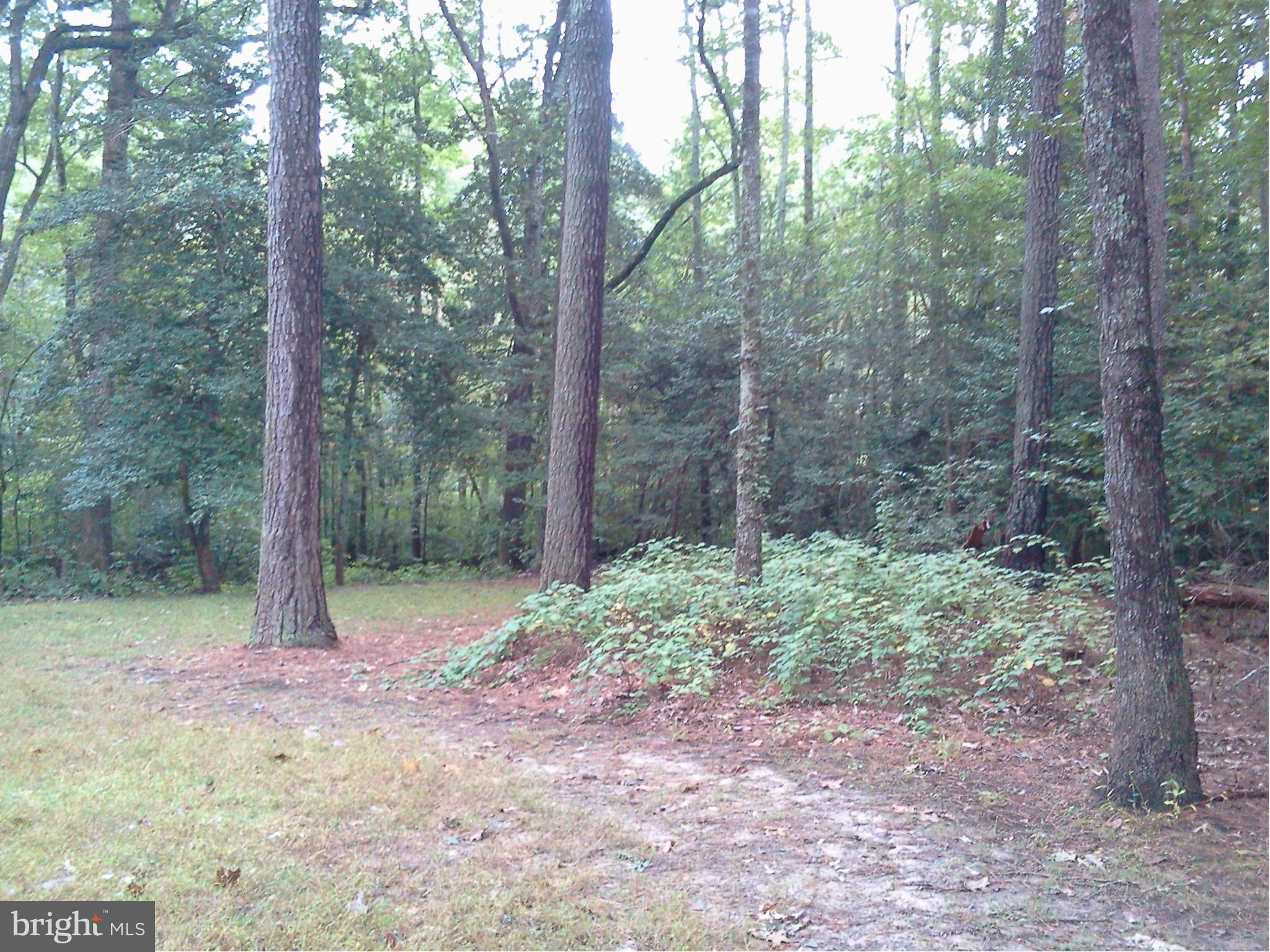 ORCHID PARK OF WILDEWOOD - Residential