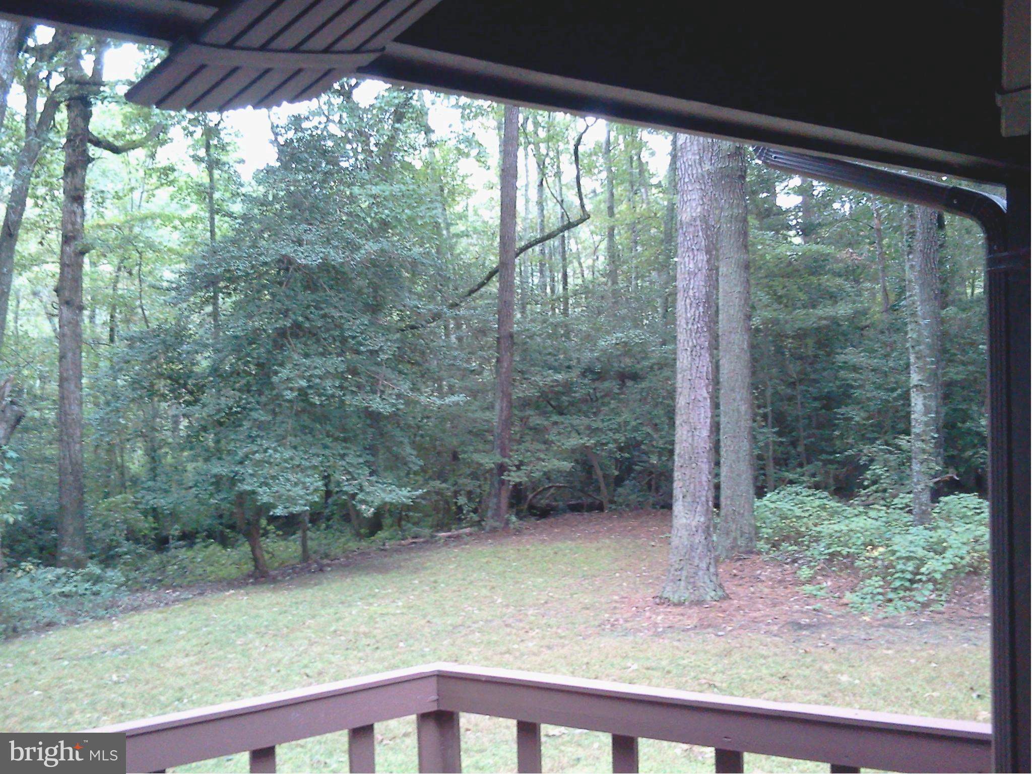 ORCHID PARK OF WILDEWOOD - Residential