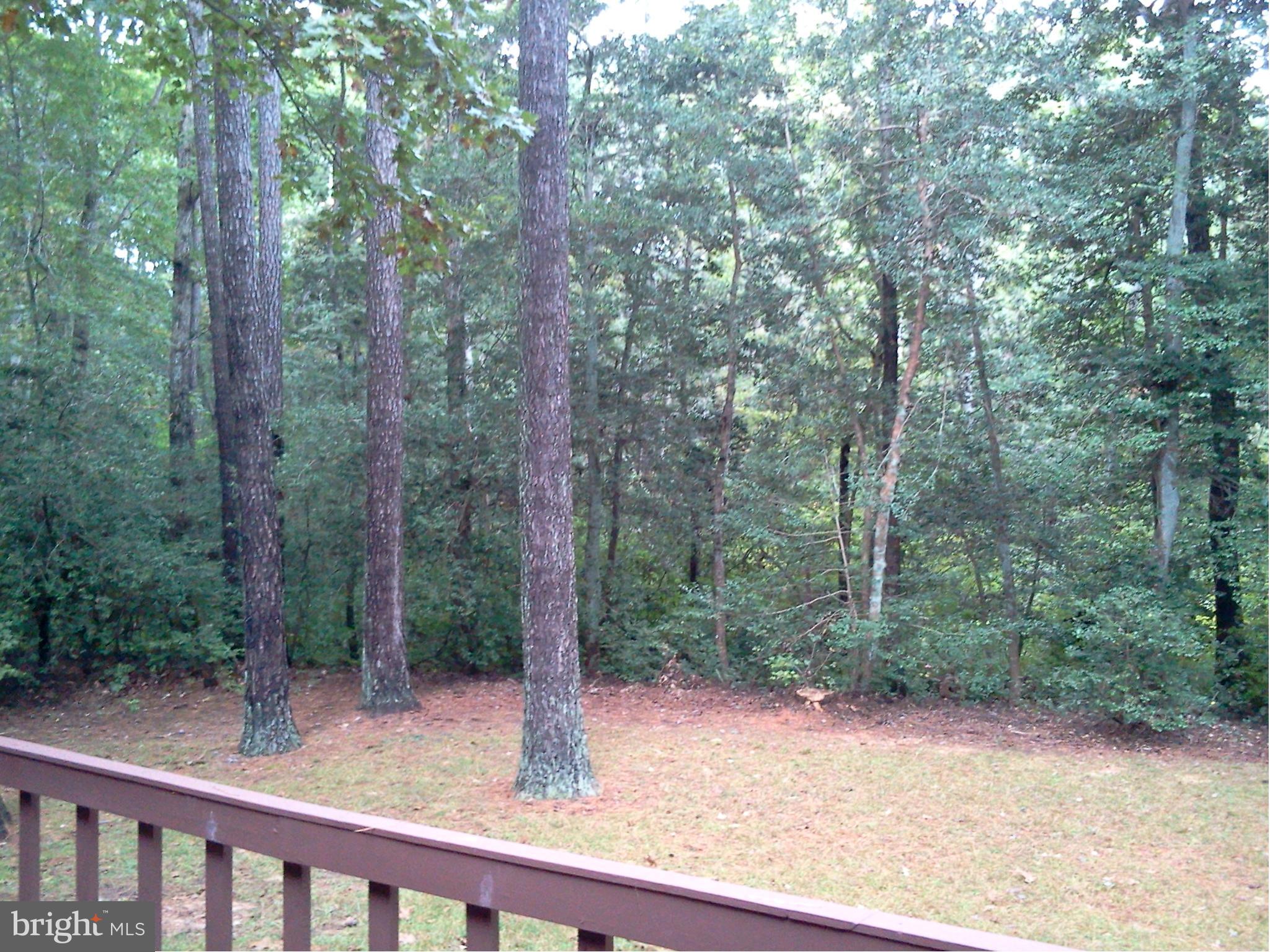 ORCHID PARK OF WILDEWOOD - Residential