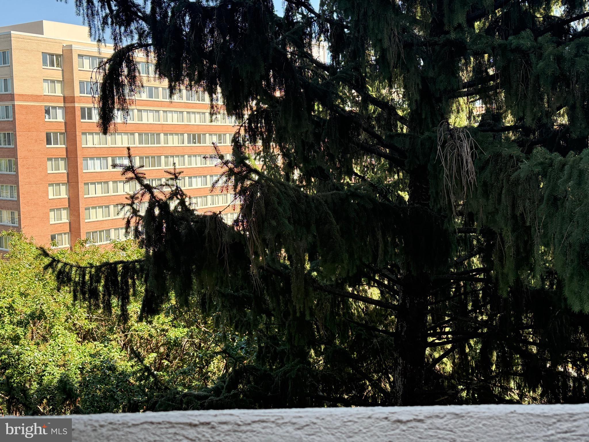 THE REPRESENTATIVE - Residential Lease