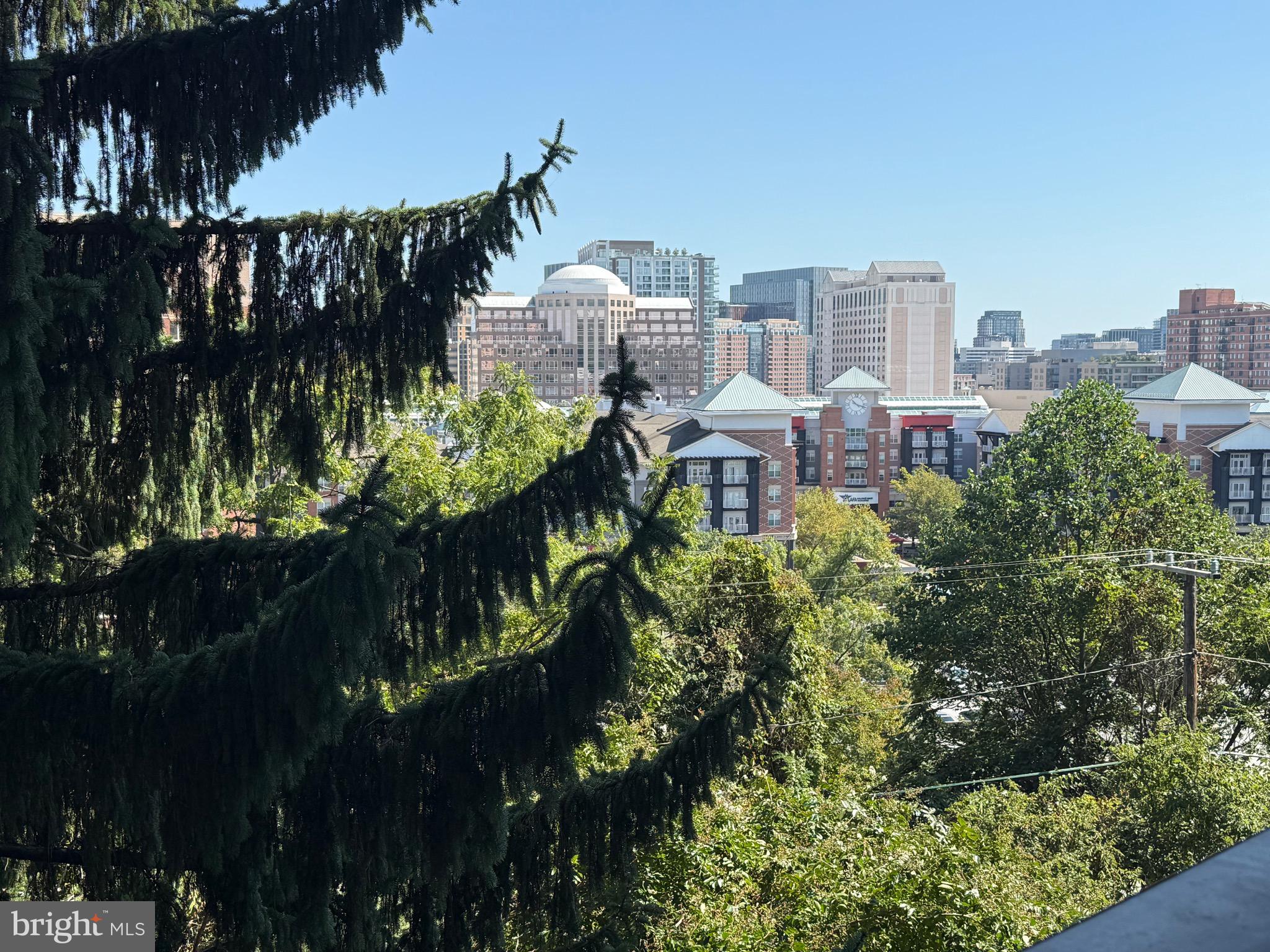 THE REPRESENTATIVE - Residential Lease