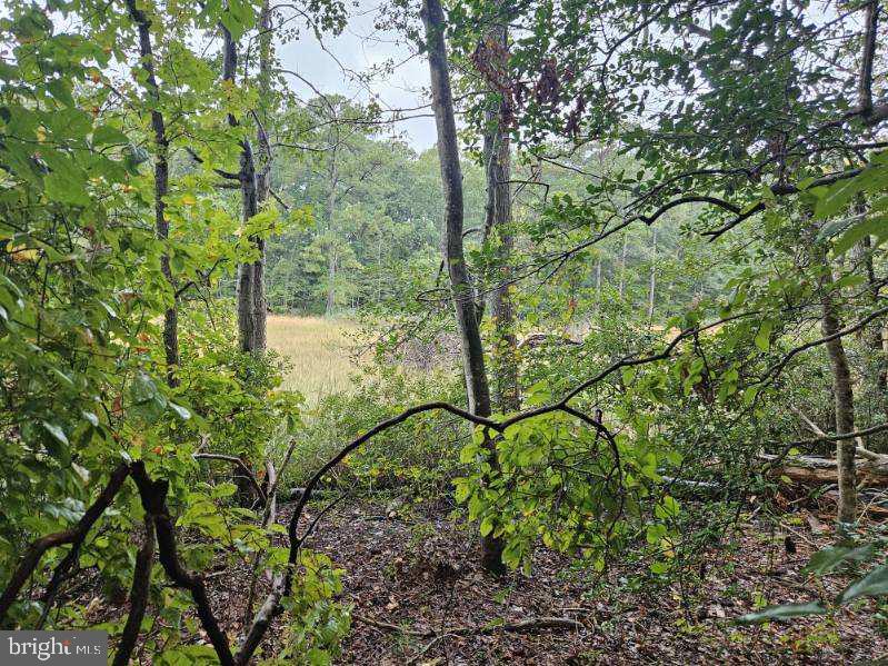 Lot 8 Section C SPRING LAKE DR DRIVE