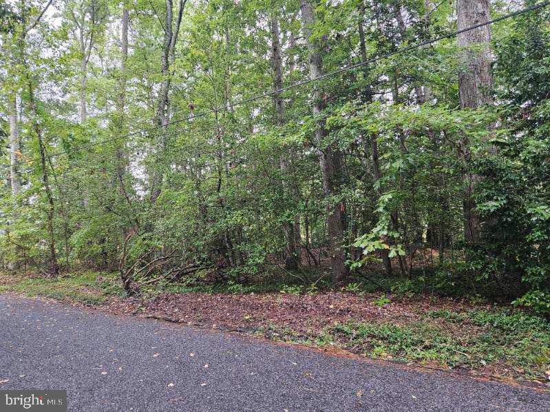 Lot 8 Section C SPRING LAKE DR DRIVE