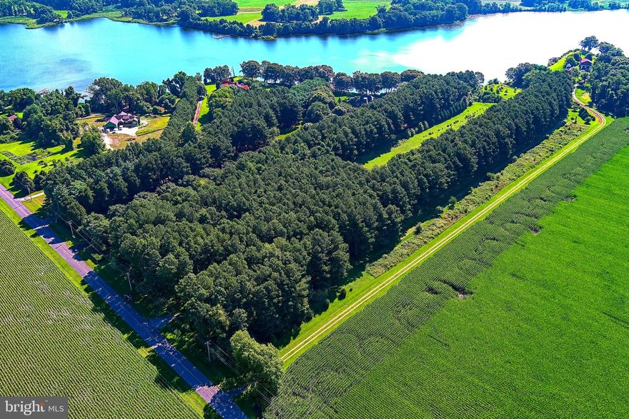 If you have never traveled to Wye Island, now is the time. Come see this opportunity few have the chance to accomplish. a Wye Island Waterfront Retreat.  One of the few privately held properties on this 2800 acre island located in the midst of the Historic Wye River, of which, 2450 acres and 30 miles of it's shoreline are owned by the State of Maryland and are classified as an protected Natural Resource Area.  This 12 Acre property, that has been maintained by it's current owner for almost 30 years offering 721' of shoreline on the Wye,  a very private homesite location, that was surrounded by evergreen plantings on the perimeter and on the road frontage, that have matured to provide maximum privacy,  yet left clear in the center to provide an open beautiful homesite and views to the river. This property is perc approved. The property currently has 10 acres in Ag, for reduced tax,  and 2 acres in residential for the homesite. No Ag Transfer Tax should be due assuming Buyer wants to keep the same designations.  This property has very deep water and is a short boat ride to St Michaels, Tilghman and the Kent Narrows. It's about 25 Minutes to the Chesapeake Bay Bridge. There is a mix of living shoreline and rip rap at the waters edge for shoreline protection.  All of natures beauty abounds from this location, if you come see it, you will instantly feel your blood pressure retreat and you won't want to leave.