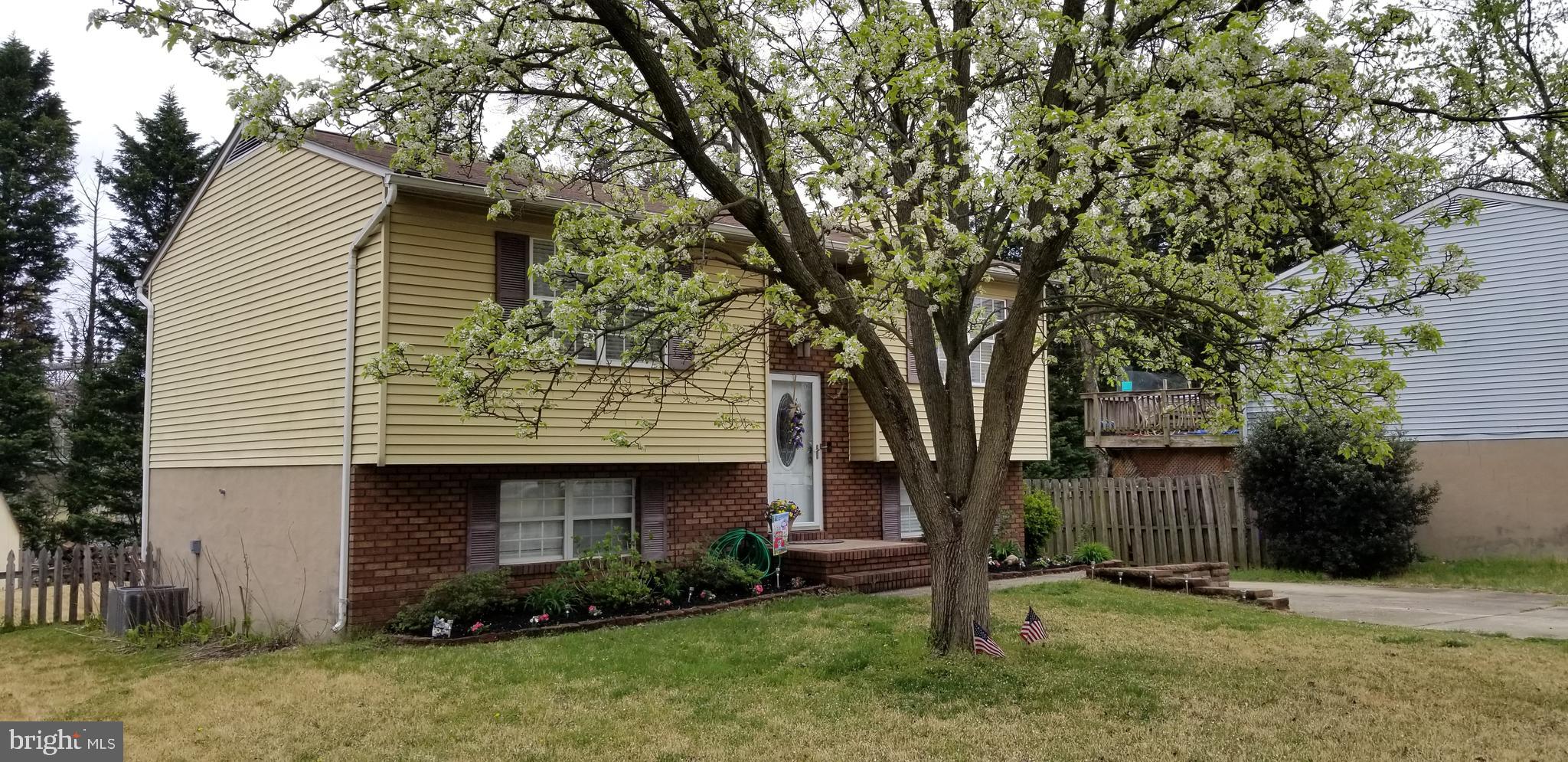 TREVOR WOODS - Residential