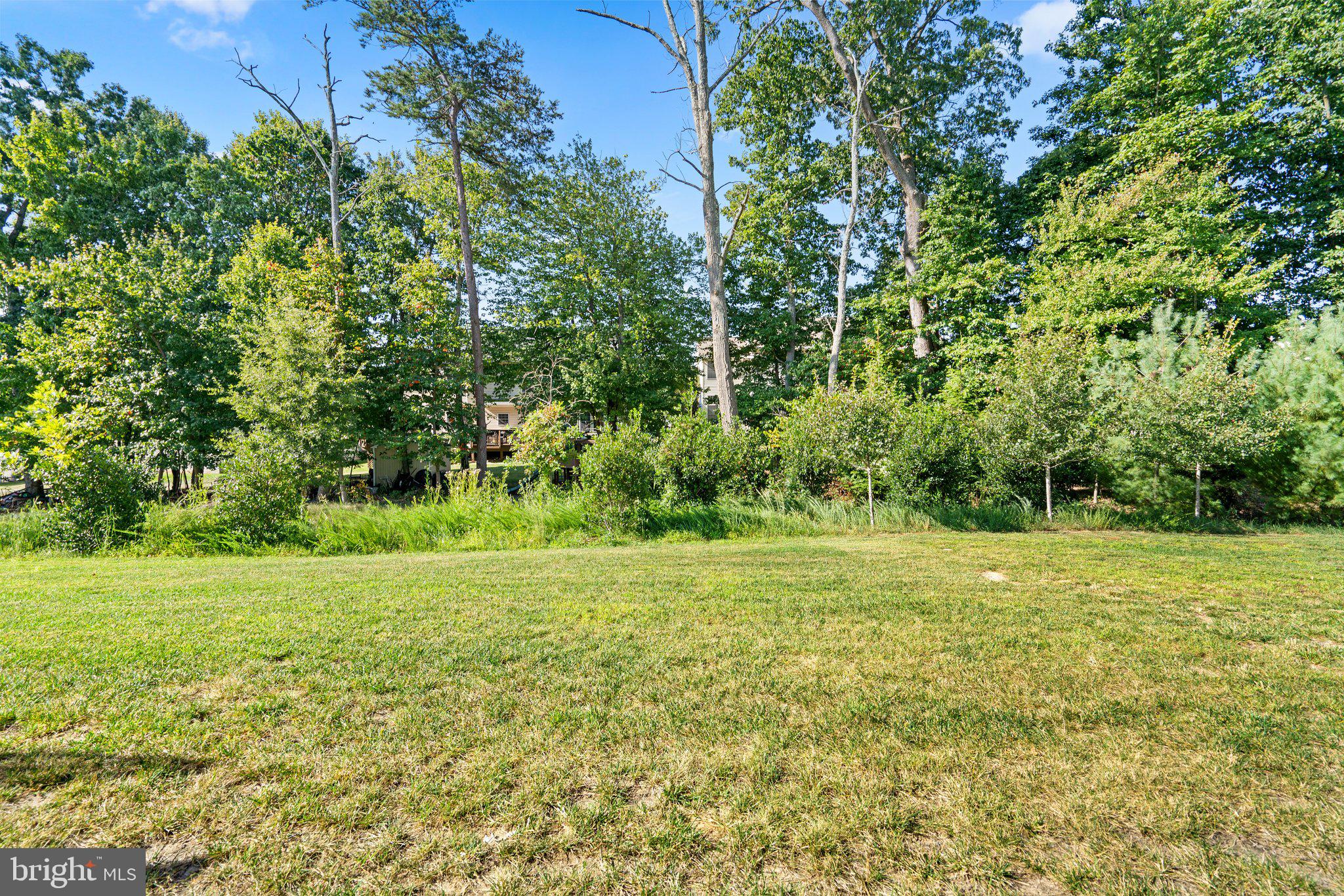 BALLARD GREEN - Residential