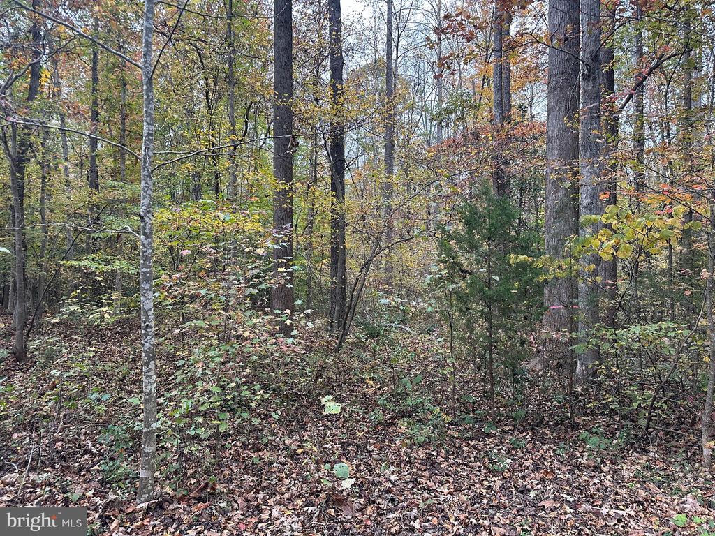 Photo of 8105 Wade Street, PARTLOW, VA 22534 (MLS # VASP2037214)