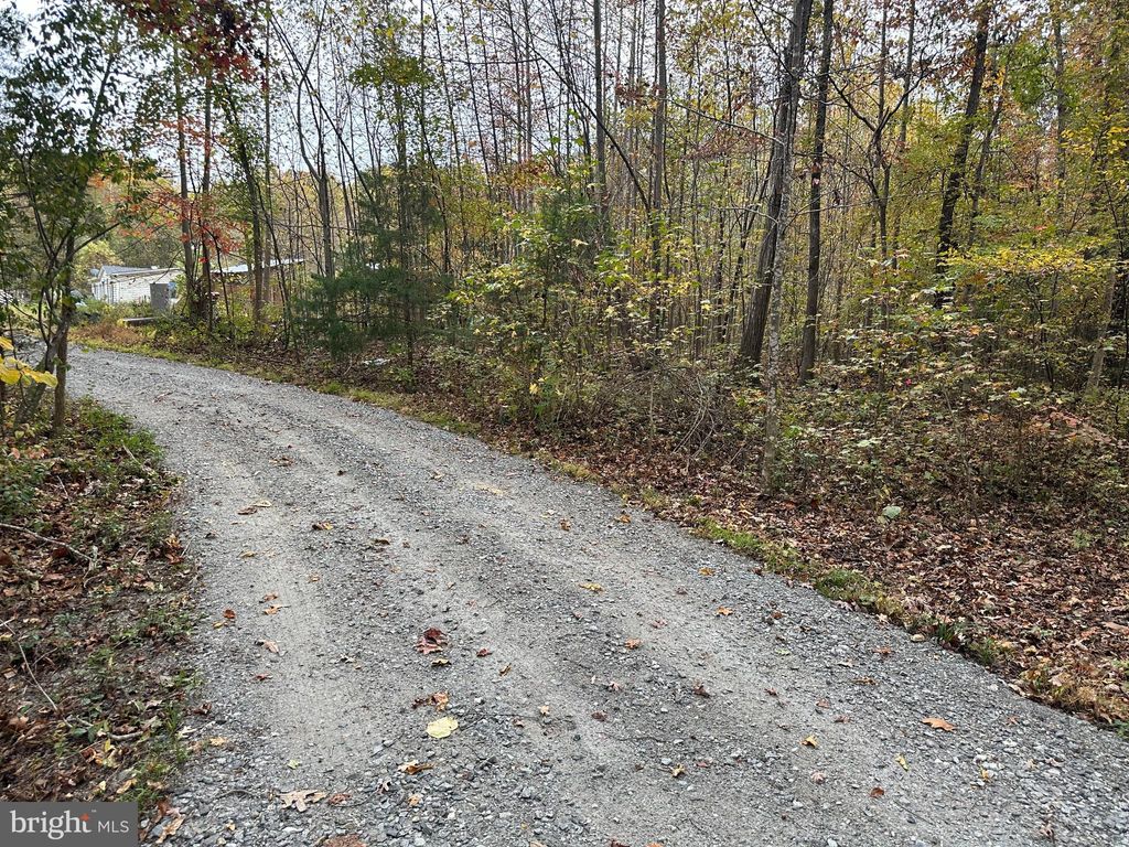 Photo of 8105 Wade Street, PARTLOW, VA 22534 (MLS # VASP2037214)
