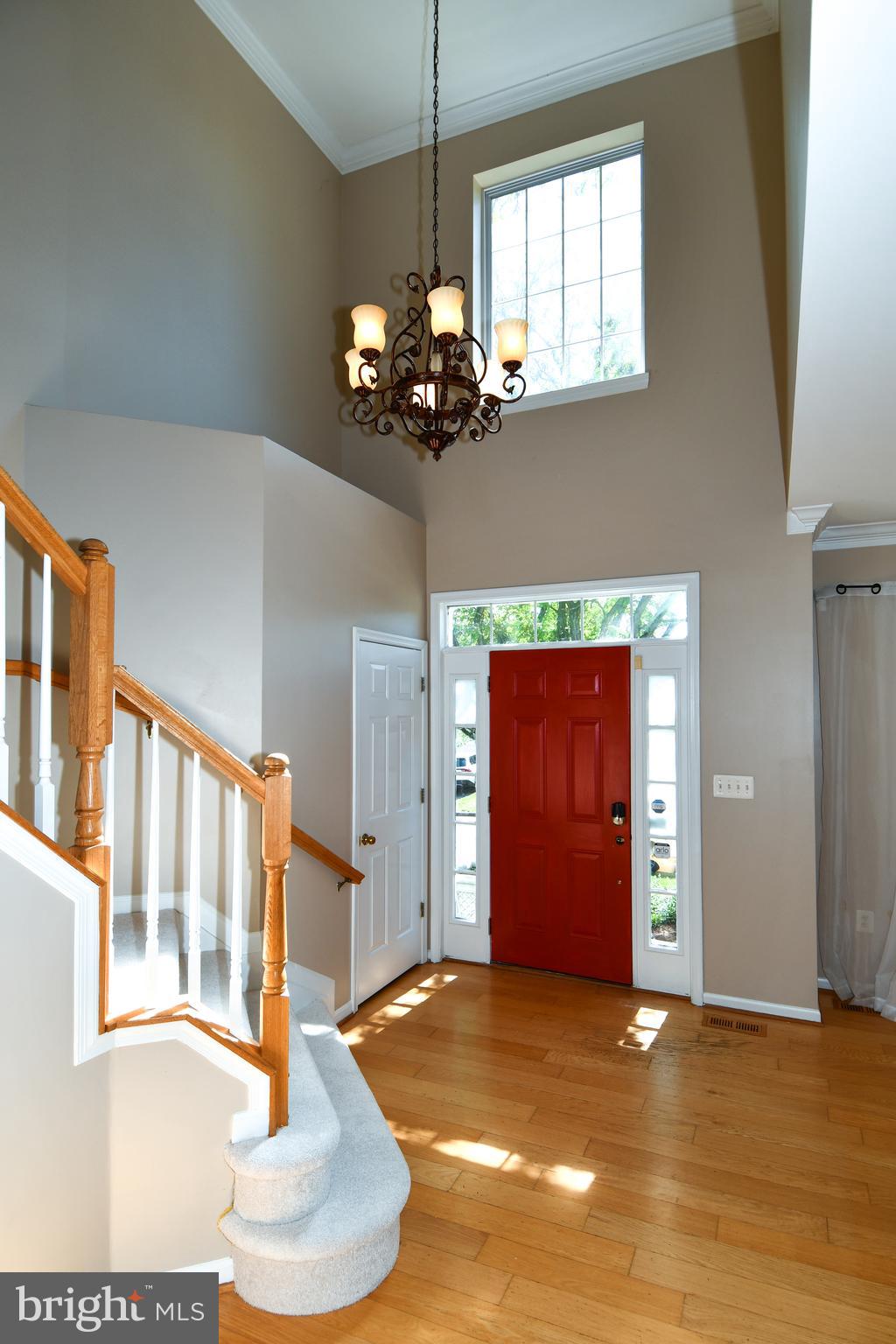 20818 SHY BEAVER COURT