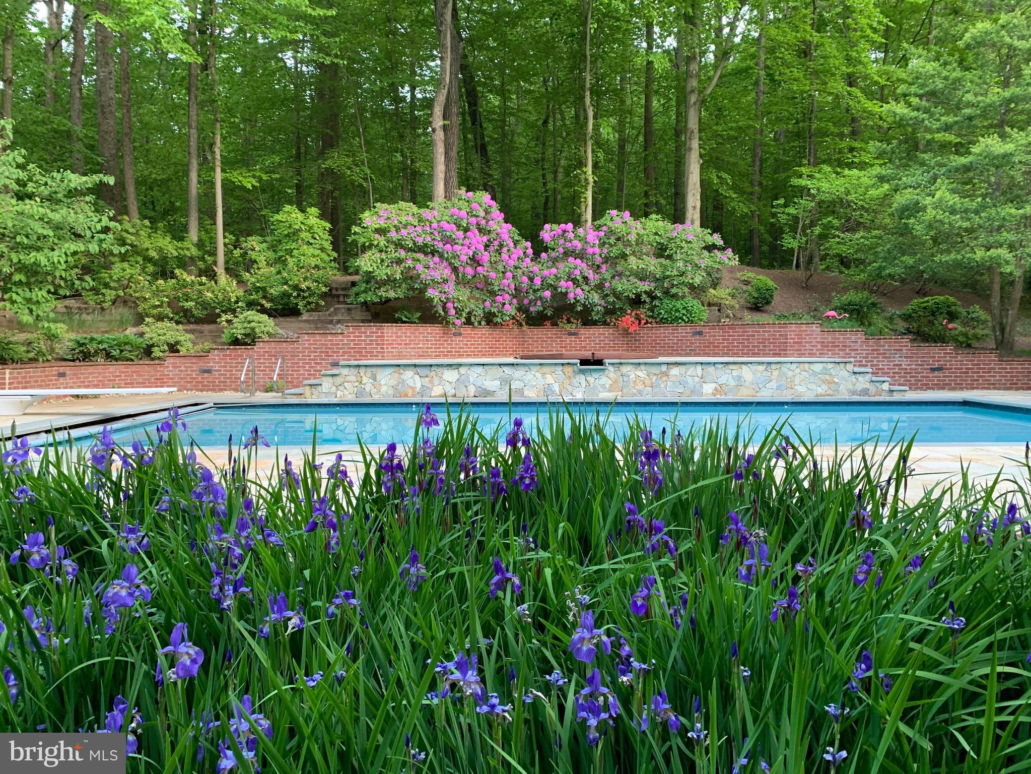 WOLF RUN - Residential