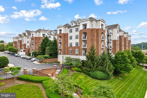 200 W ELM STREET 1315 CONSHOHOCKEN PA 19428
