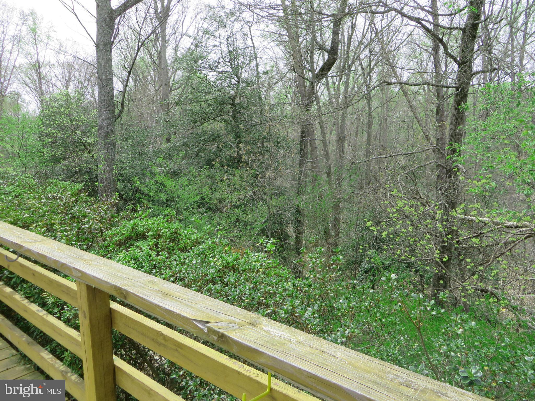 TOWN CREEK - Residential