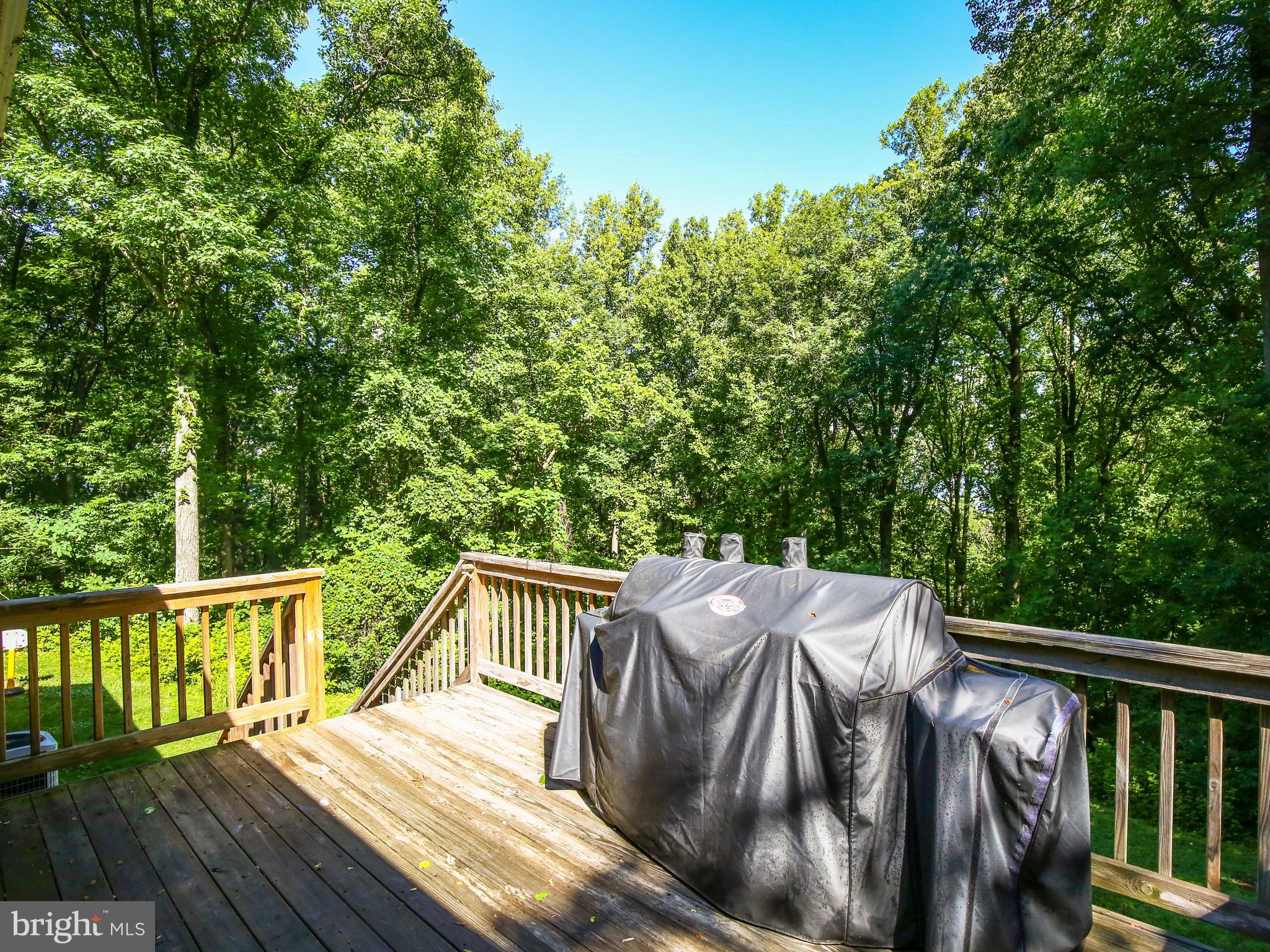 BLUE MOUNTAIN - Residential