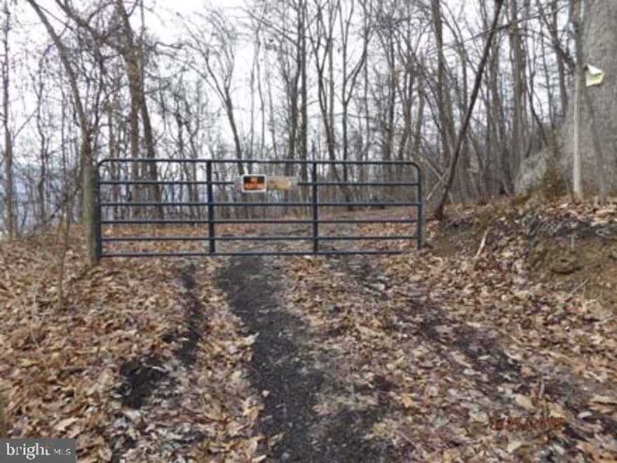 12.91 acre tract with deeded right of way. Good stand of marketable timber. Great site for cabin or home. Property is well drained and has graduate slope. Can be easily driven over with a vehicle.