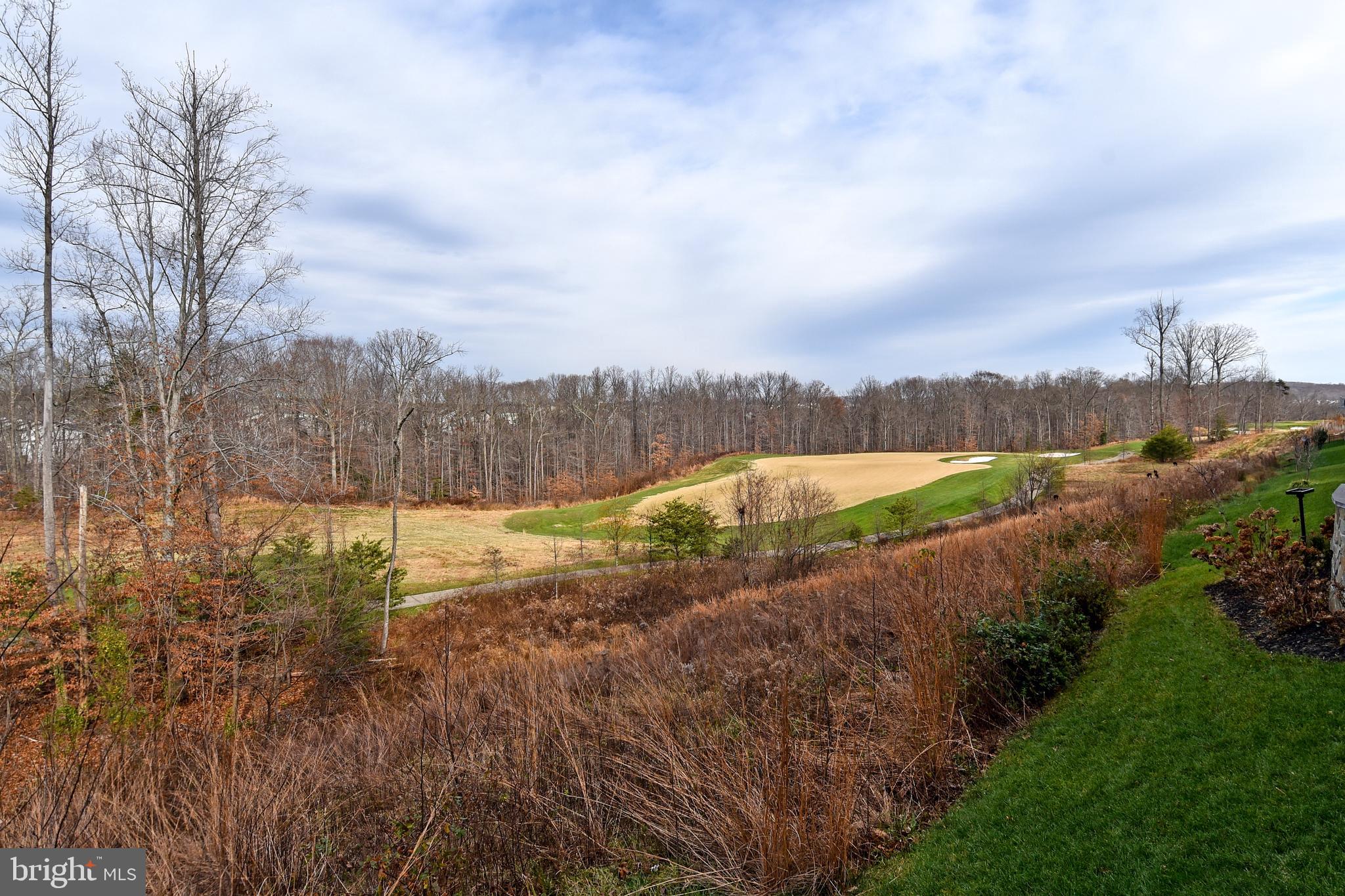 POTOMAC SHORES - Residential