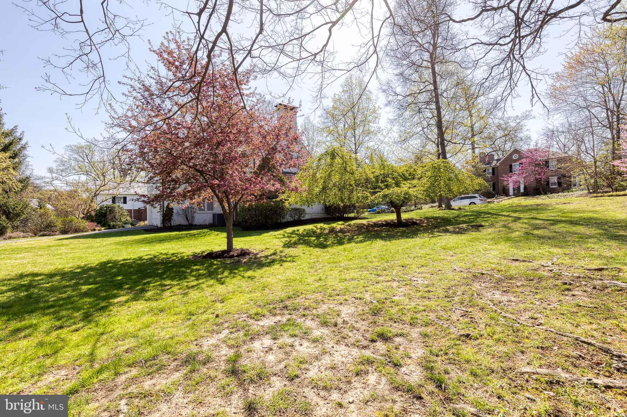 HOMELAND HISTORIC DISTRICT - Residential