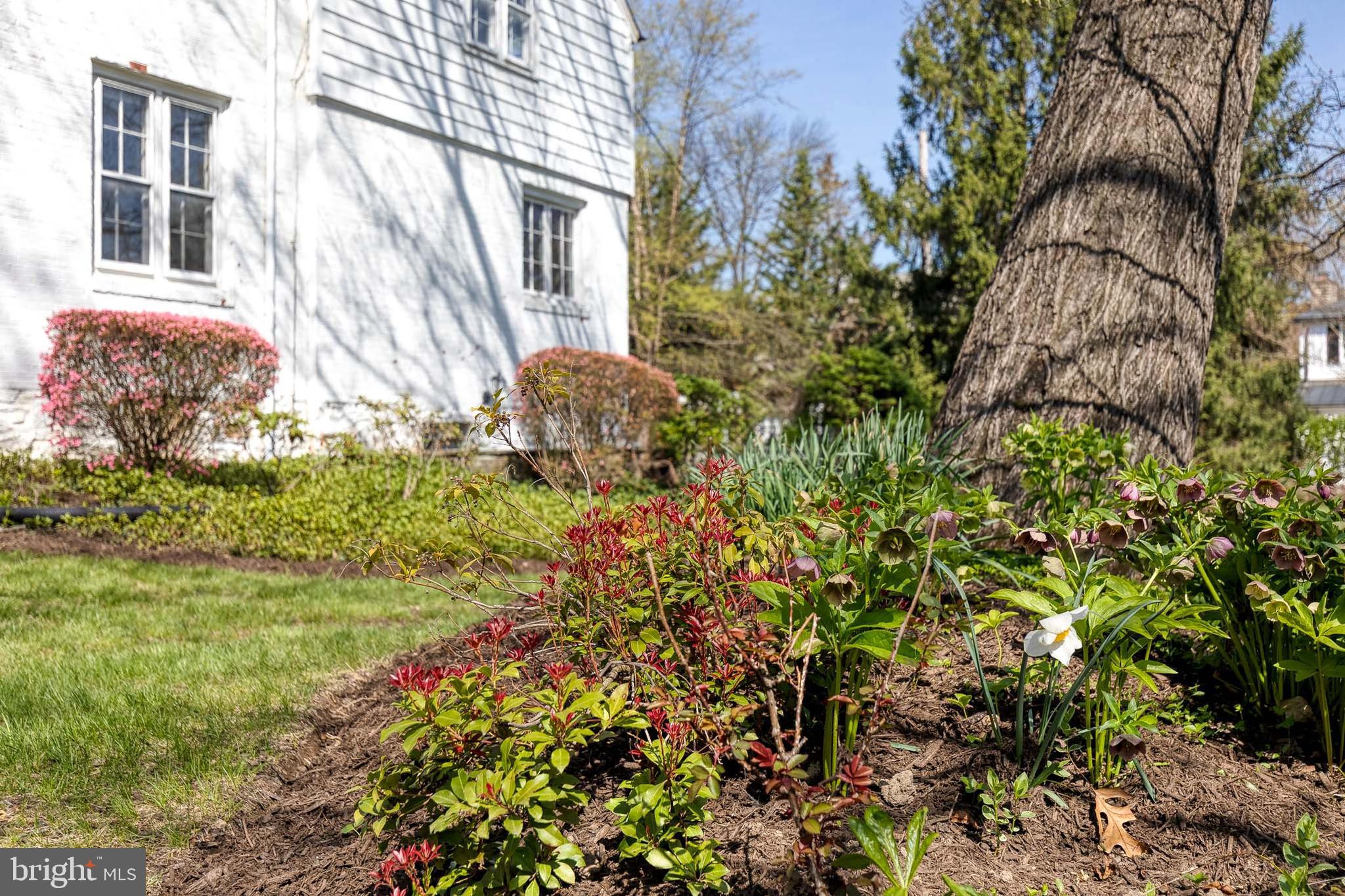 HOMELAND HISTORIC DISTRICT - Residential