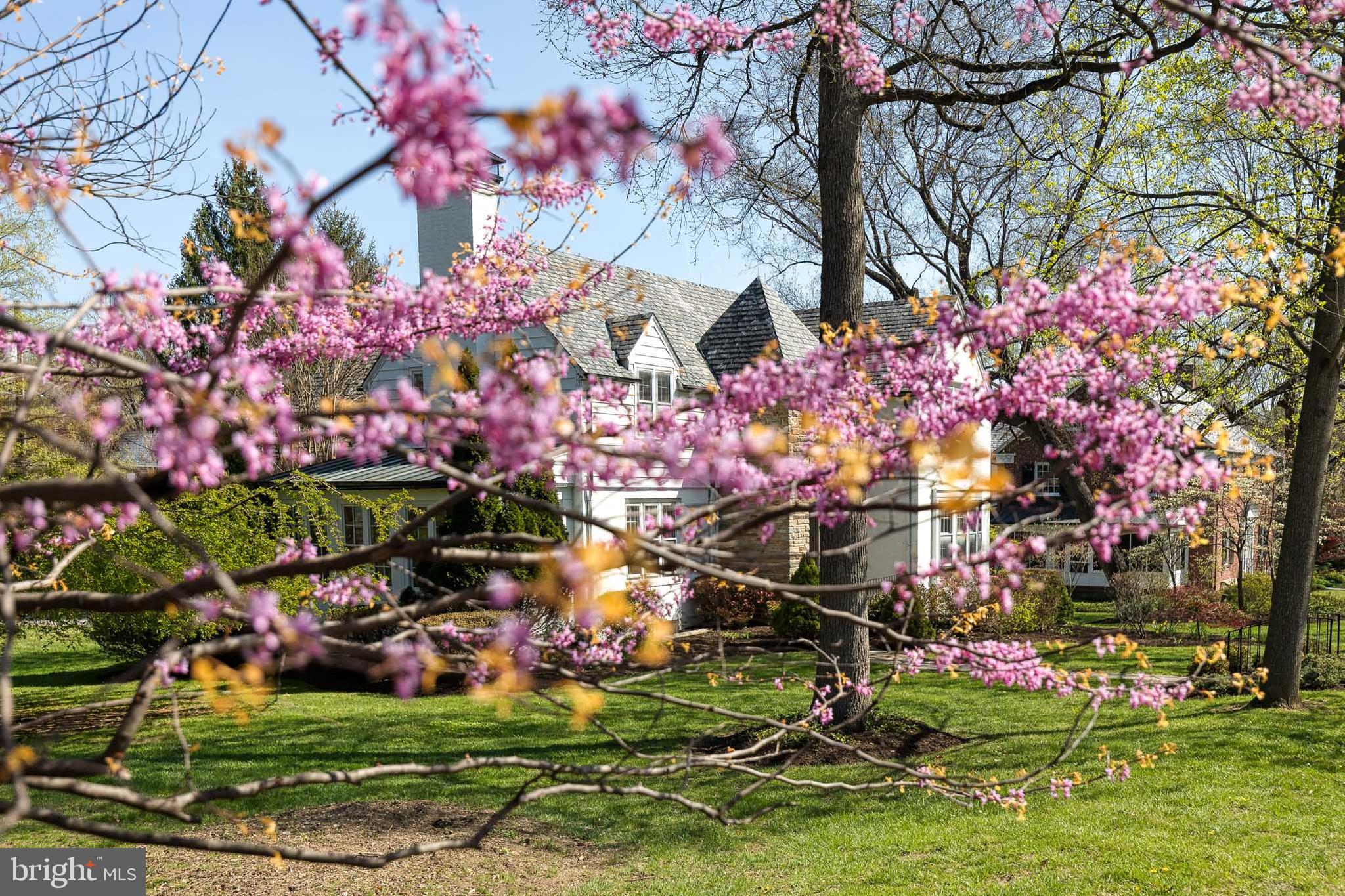 HOMELAND HISTORIC DISTRICT - Residential
