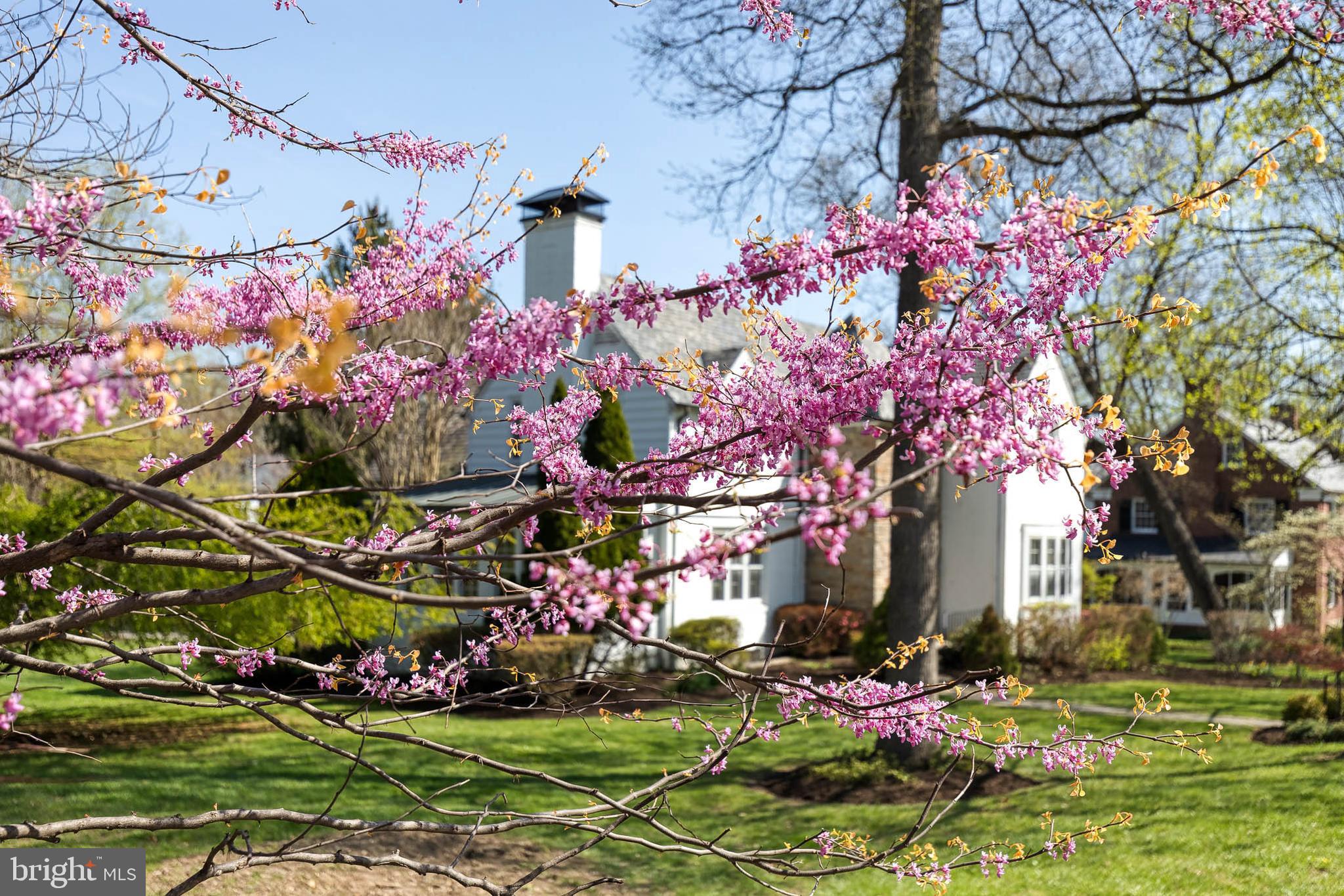 HOMELAND HISTORIC DISTRICT - Residential