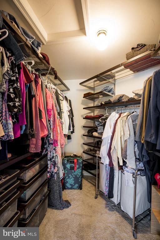 LITTLE ROCKY RUN - Residential