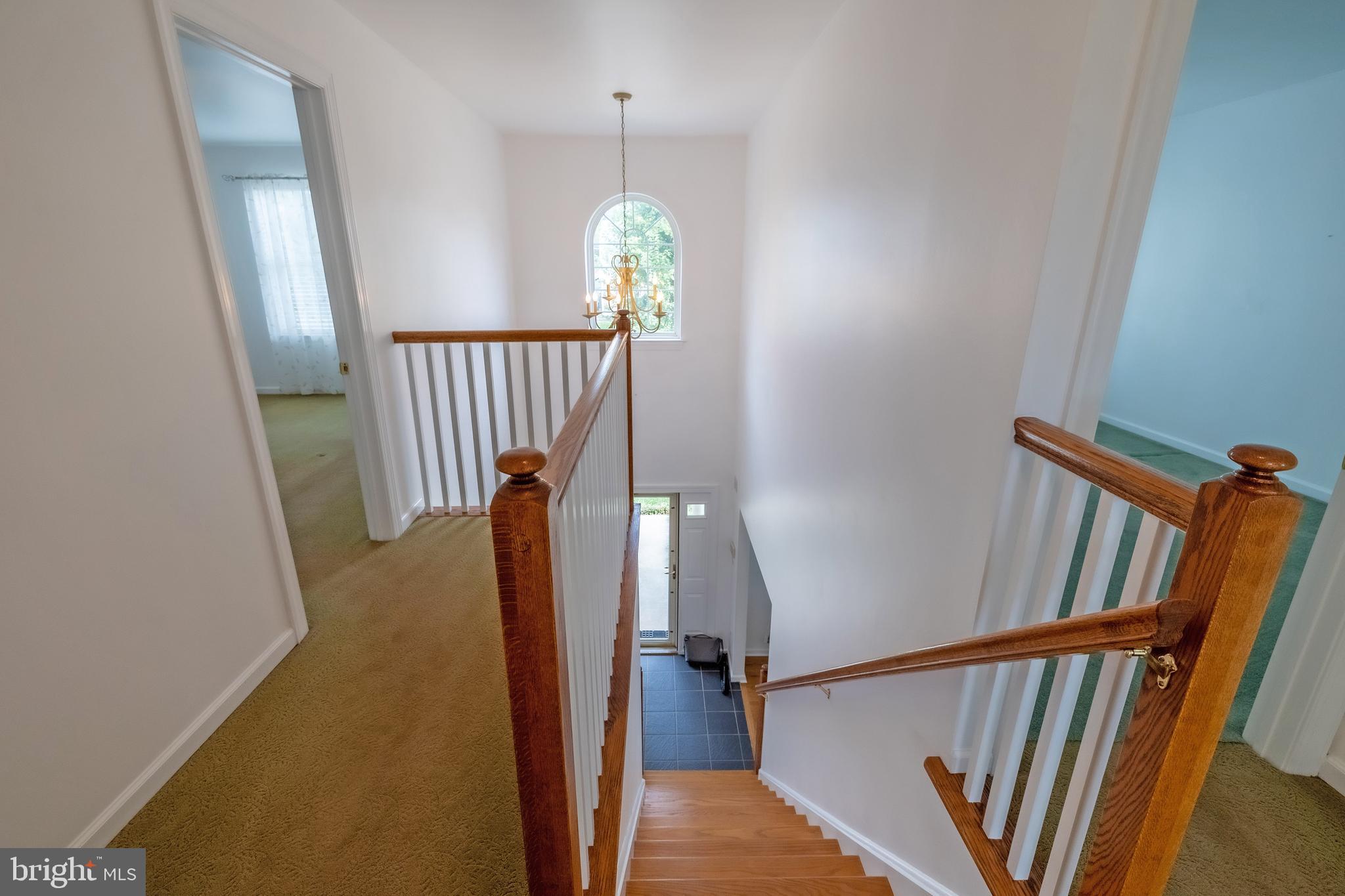 FOX CHASE - Residential