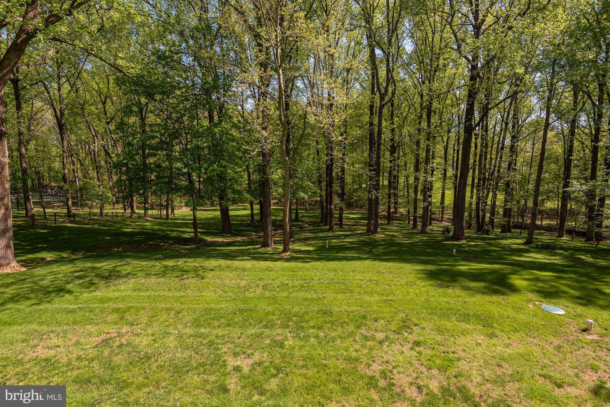 POTOMAC FALLS - Residential