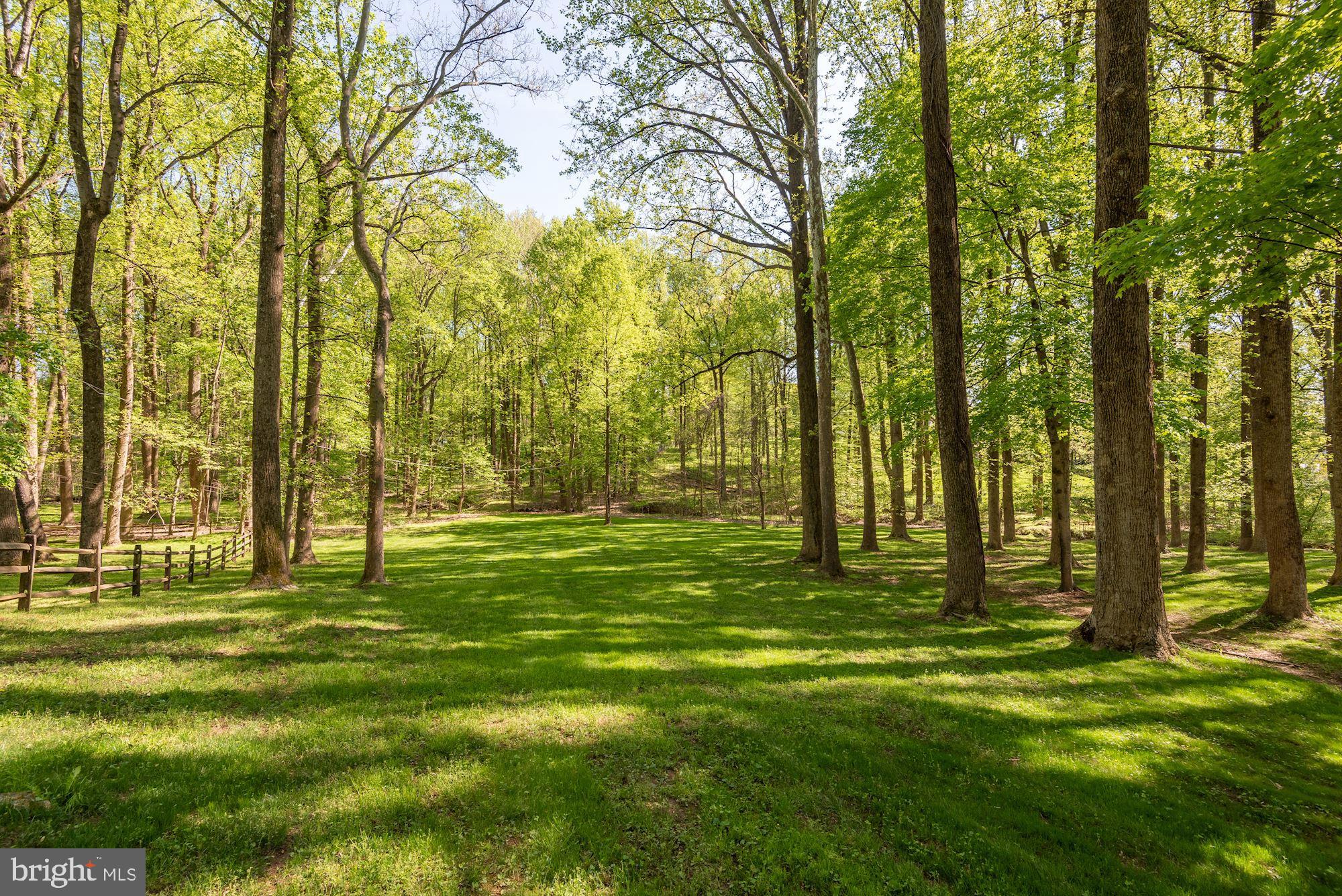 POTOMAC FALLS - Residential