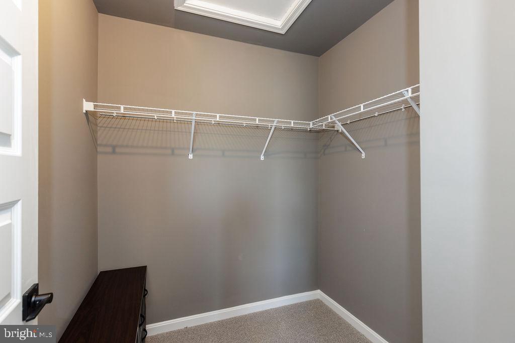 BULLE ROCK - Residential