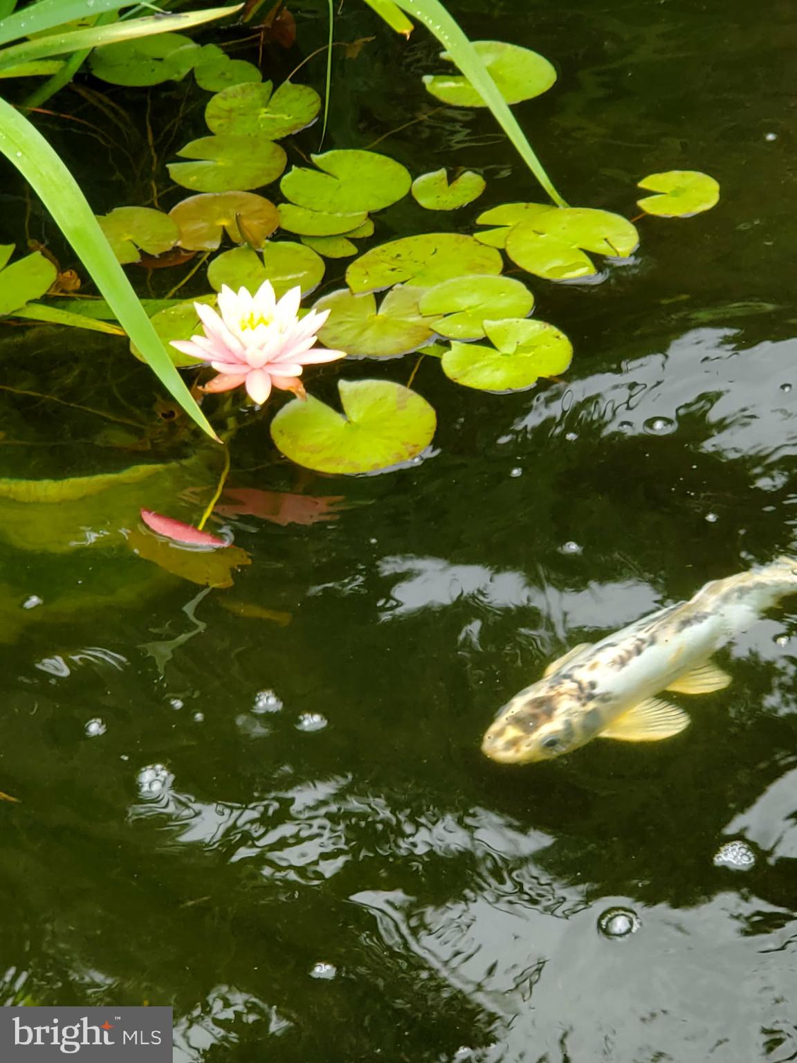 KENDALE HEIGHTS - Residential