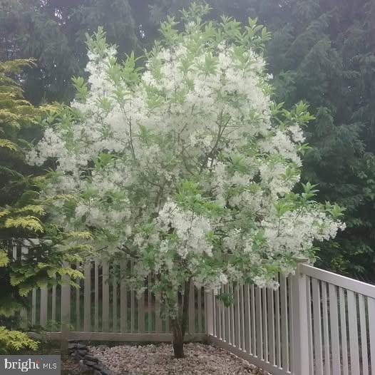 KENDALE HEIGHTS - Residential