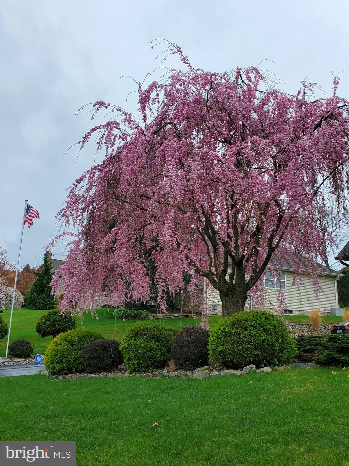 KENDALE HEIGHTS - Residential