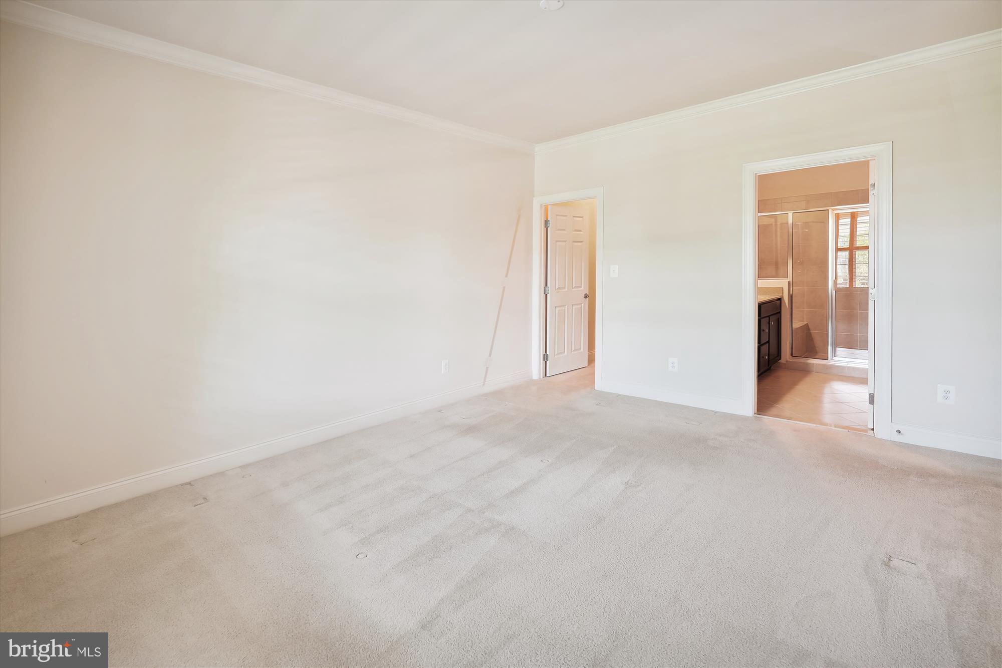 REGENCY AT ASHBURN - Residential