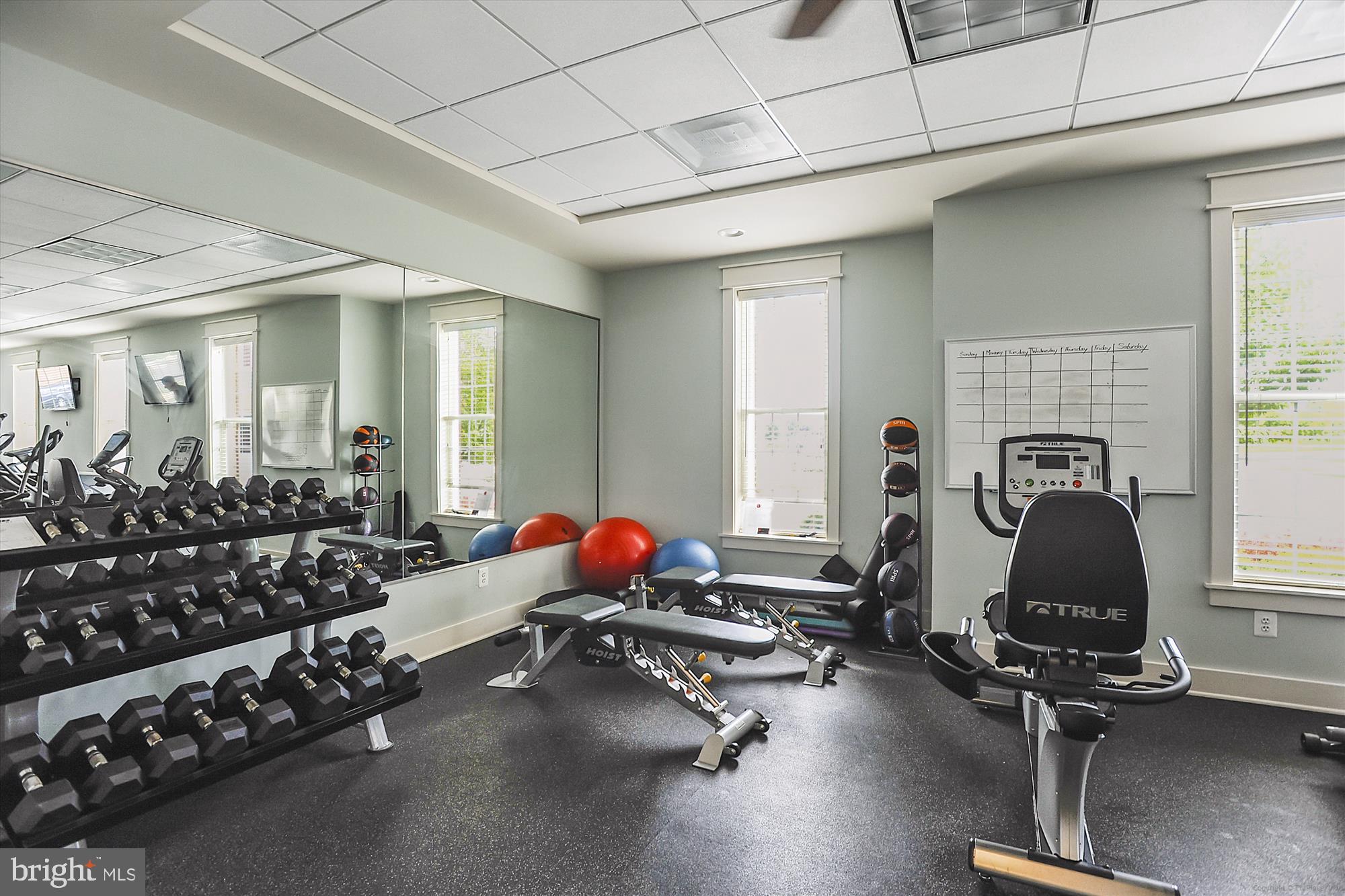 REGENCY AT ASHBURN - Residential