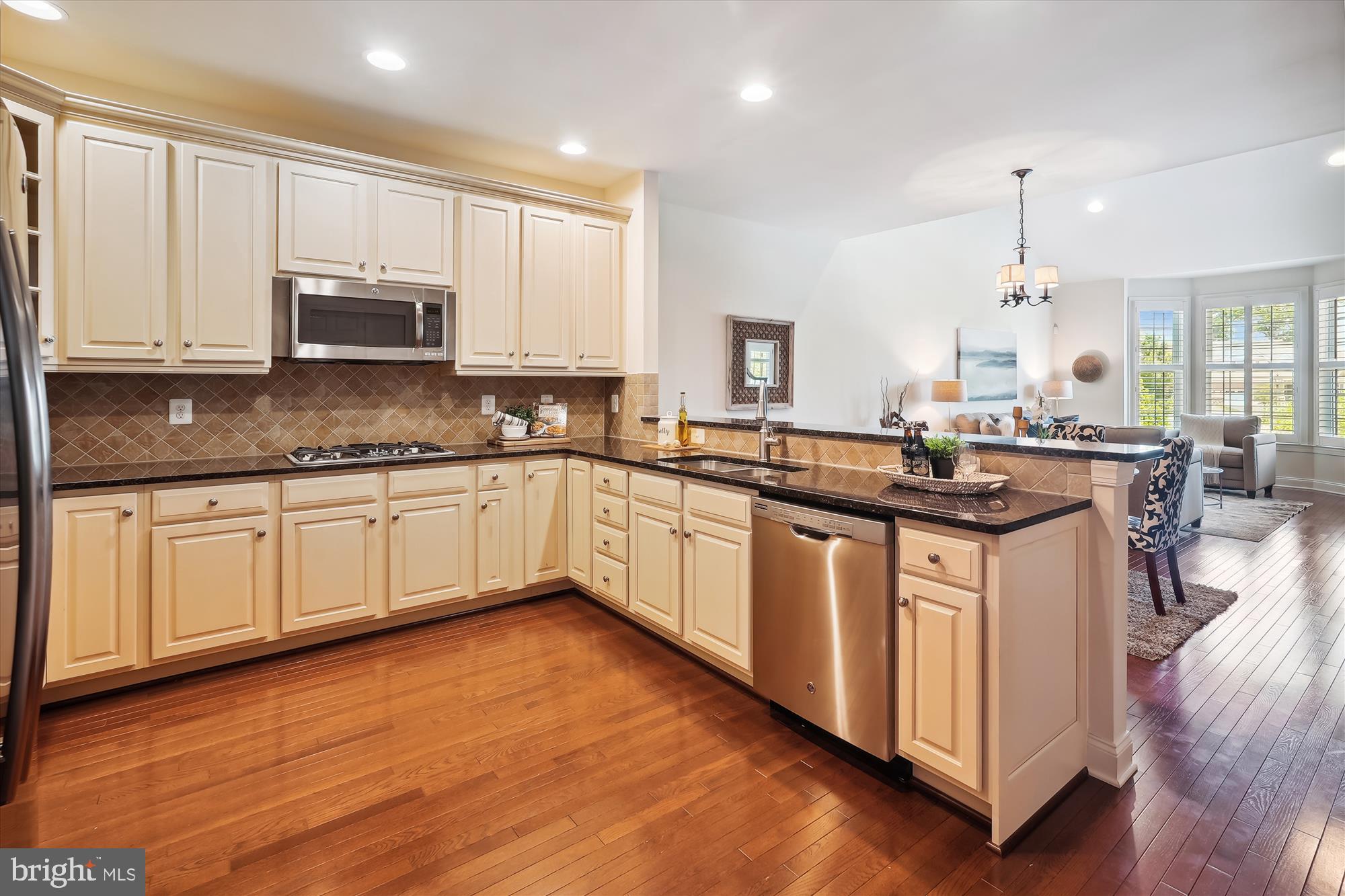 REGENCY AT ASHBURN - Residential