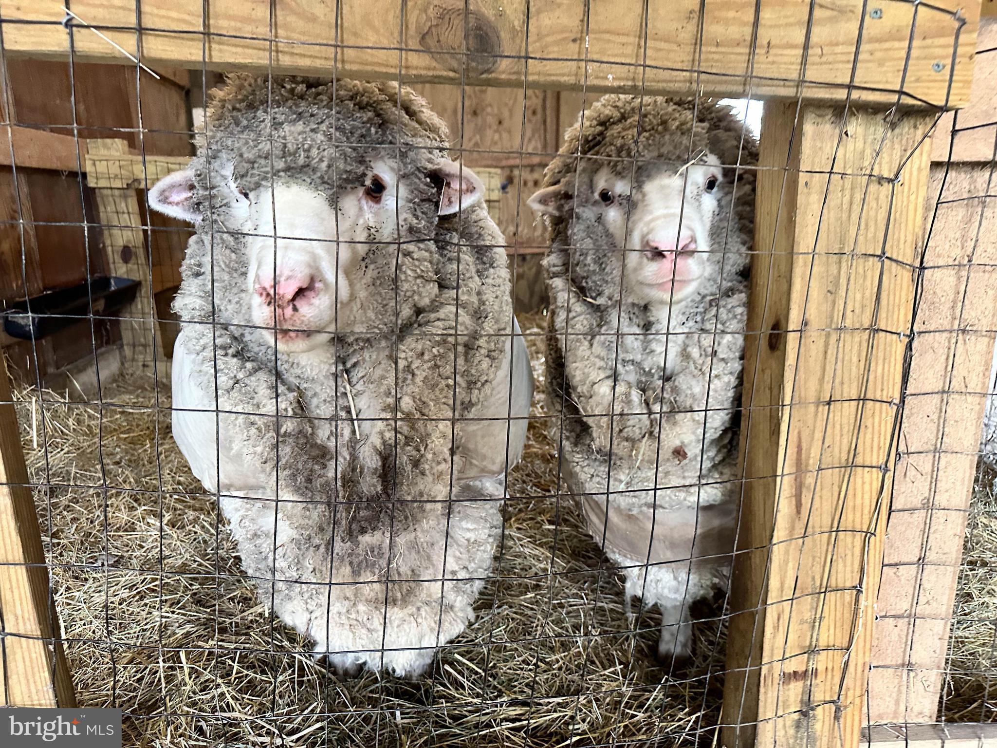 NONE AVAILABLE - Farm