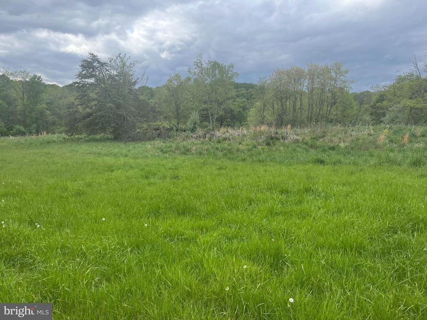 Hard to find 10 acre parcel between Purcellville and Middleburg.  No HOA/covenants.  Partly open, some mature woods, creek frontage, possible pond site.  Potential building site is now closer to Otley Road.