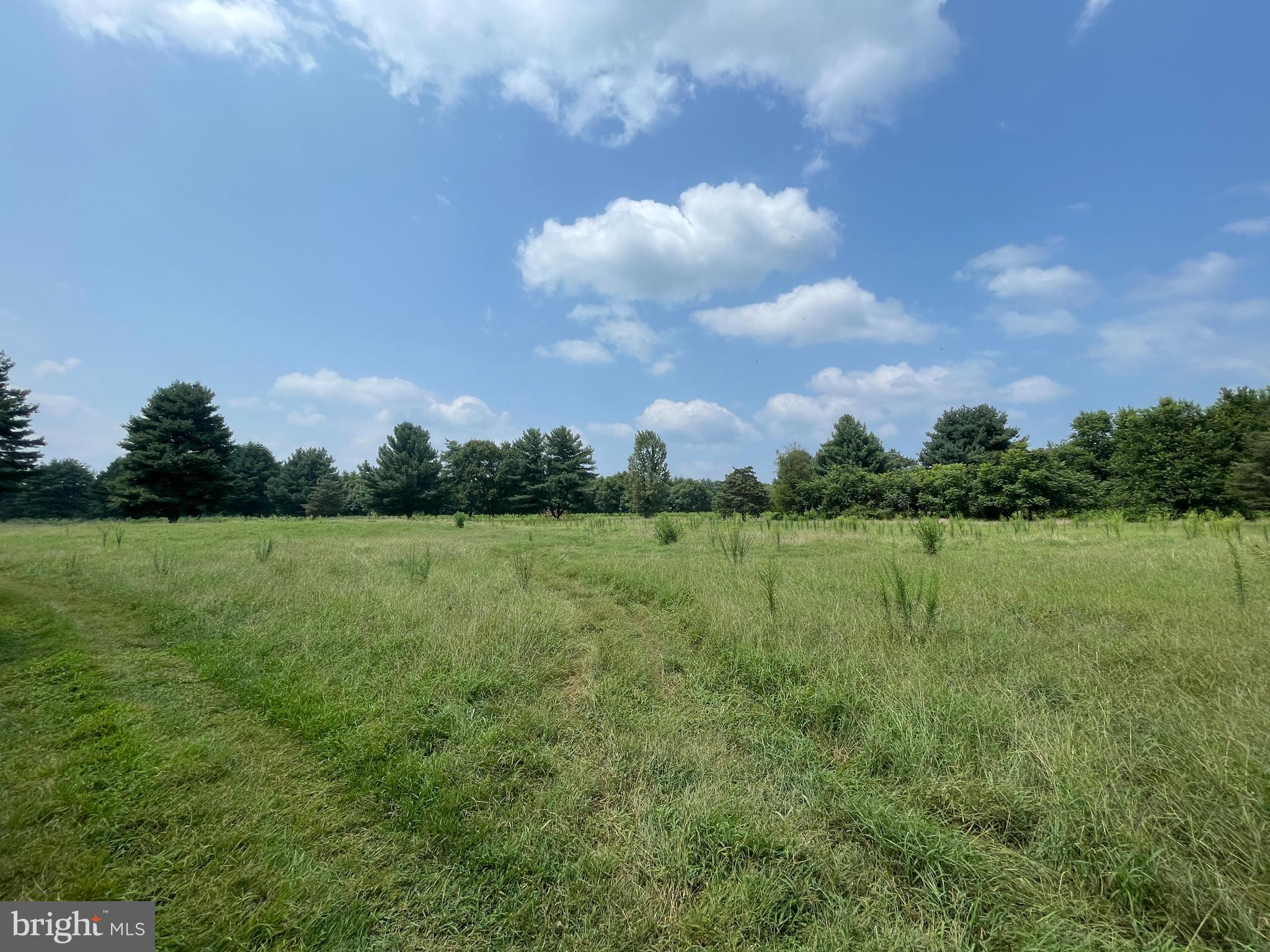 1548 BLACK MARSH ROAD