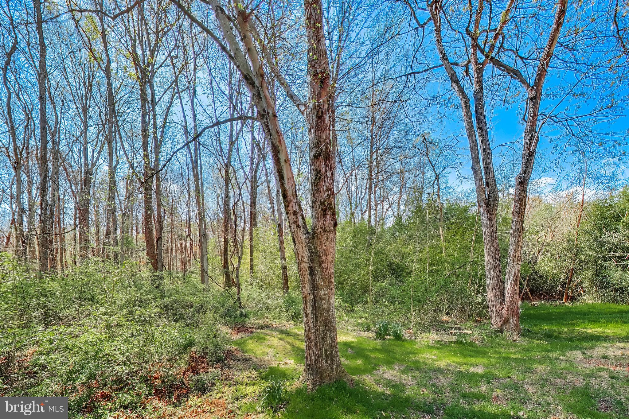 BURKE MILL COVE - Residential