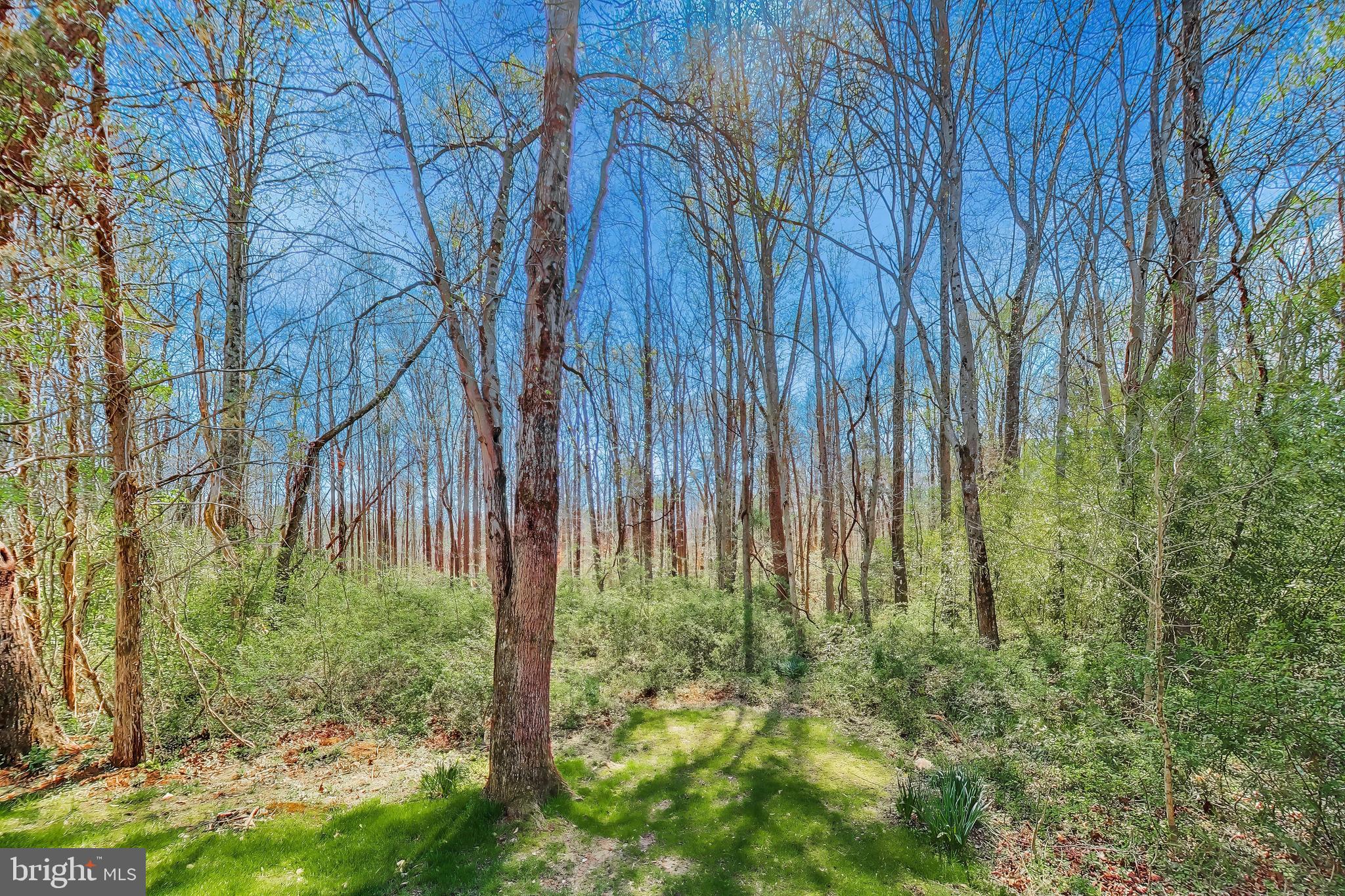 BURKE MILL COVE - Residential