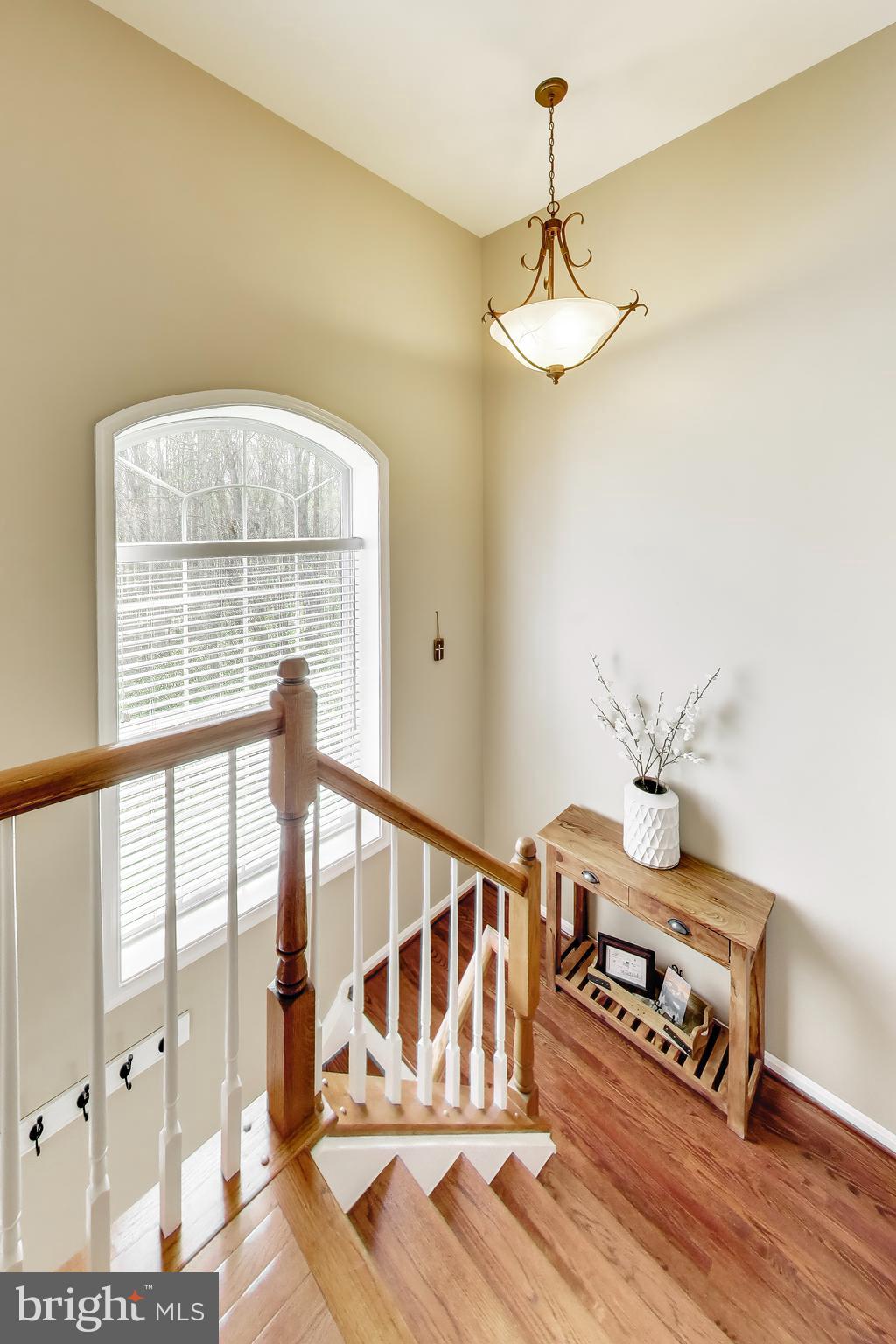 BURKE MILL COVE - Residential