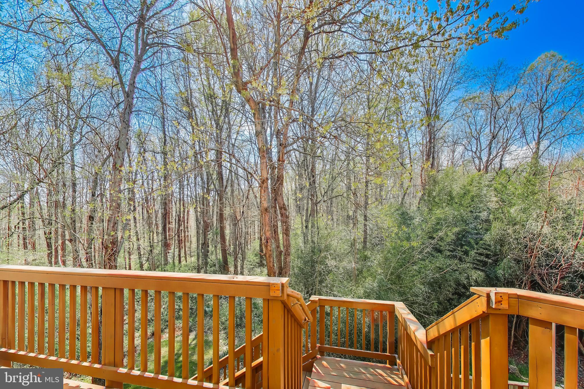 BURKE MILL COVE - Residential