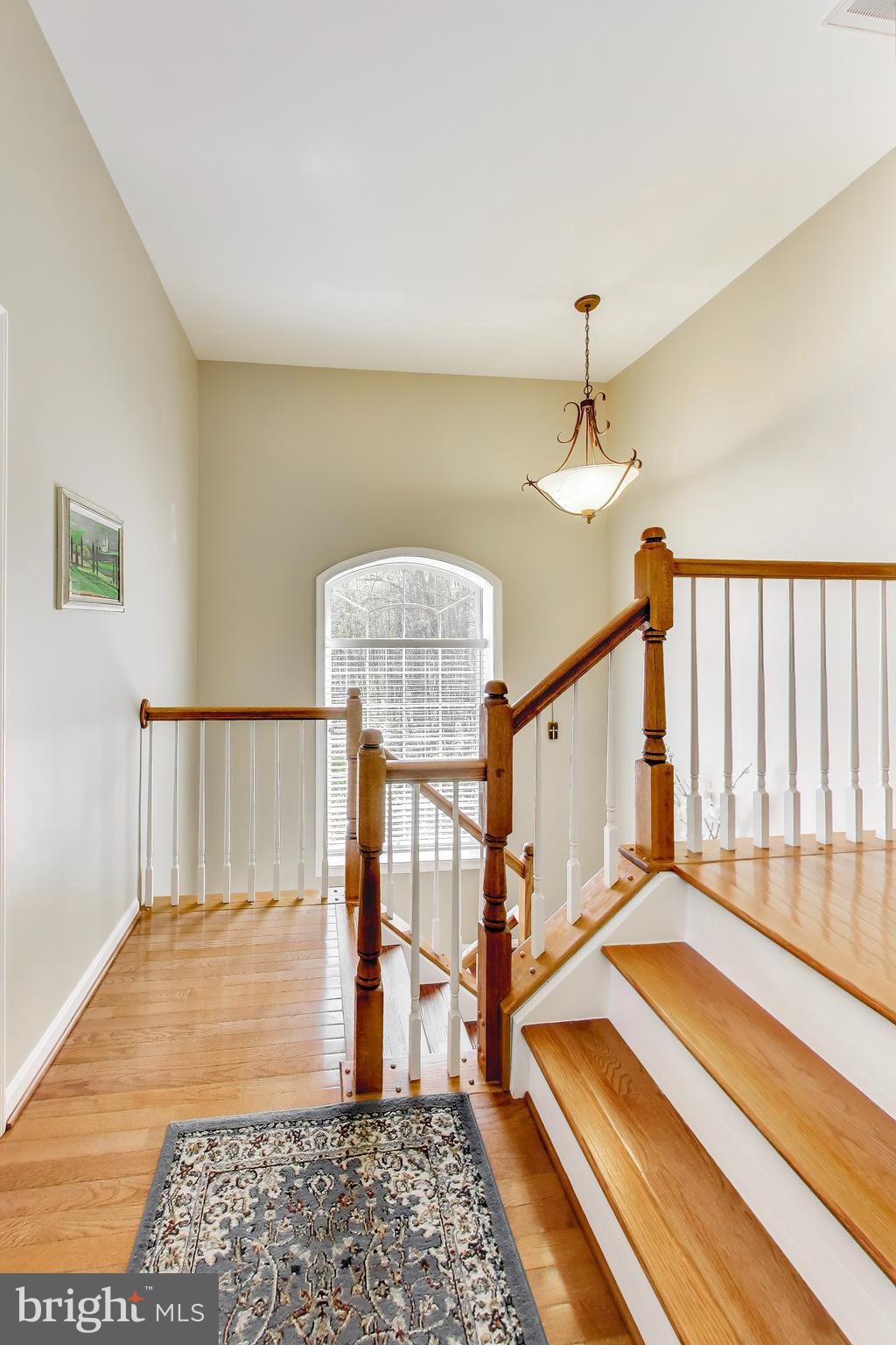 BURKE MILL COVE - Residential