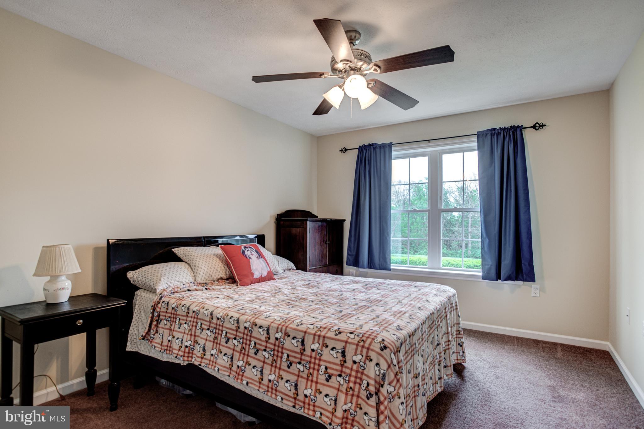 GROVE PARK - Residential