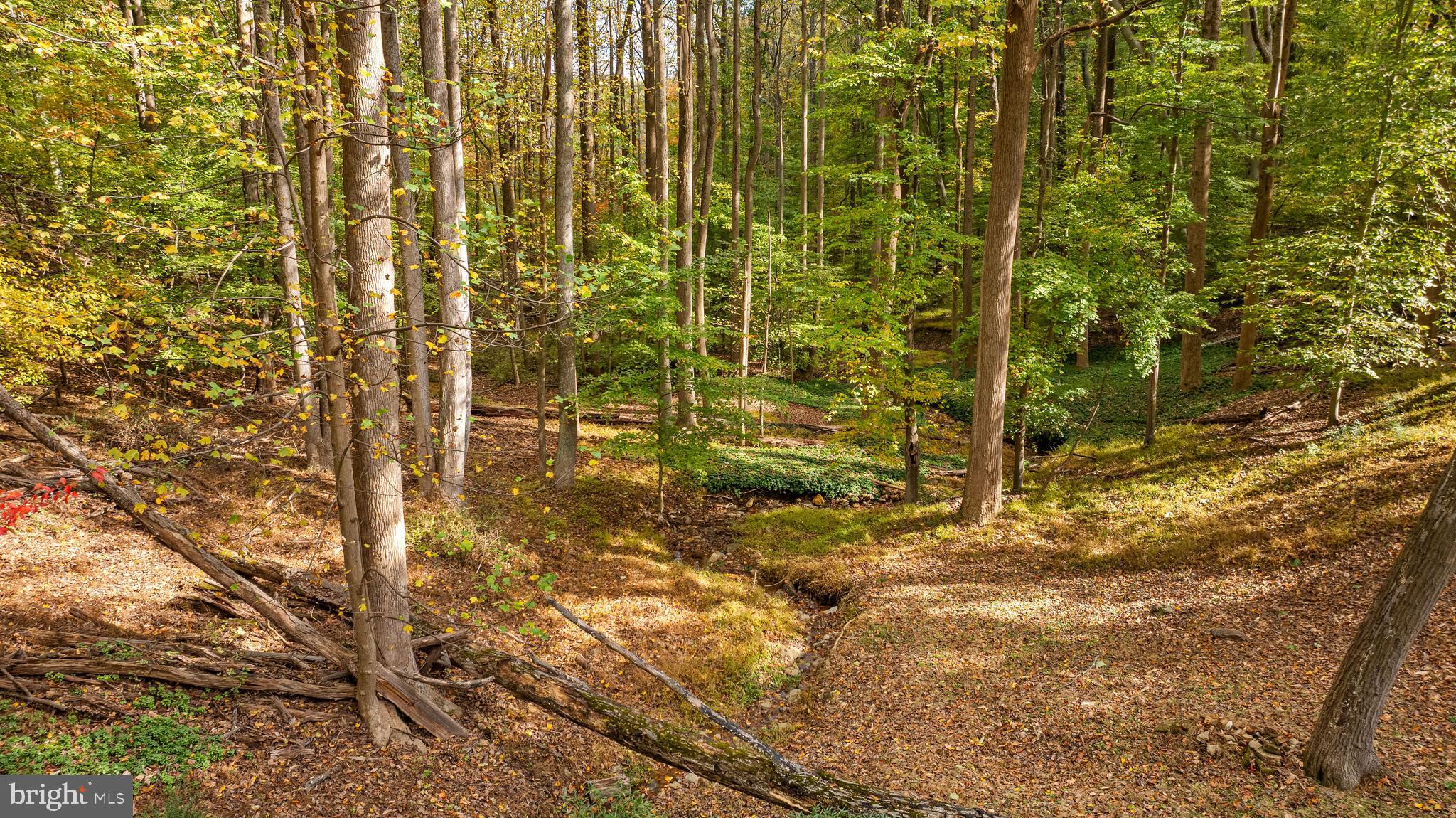 1106 HIGH COUNTRY ROAD