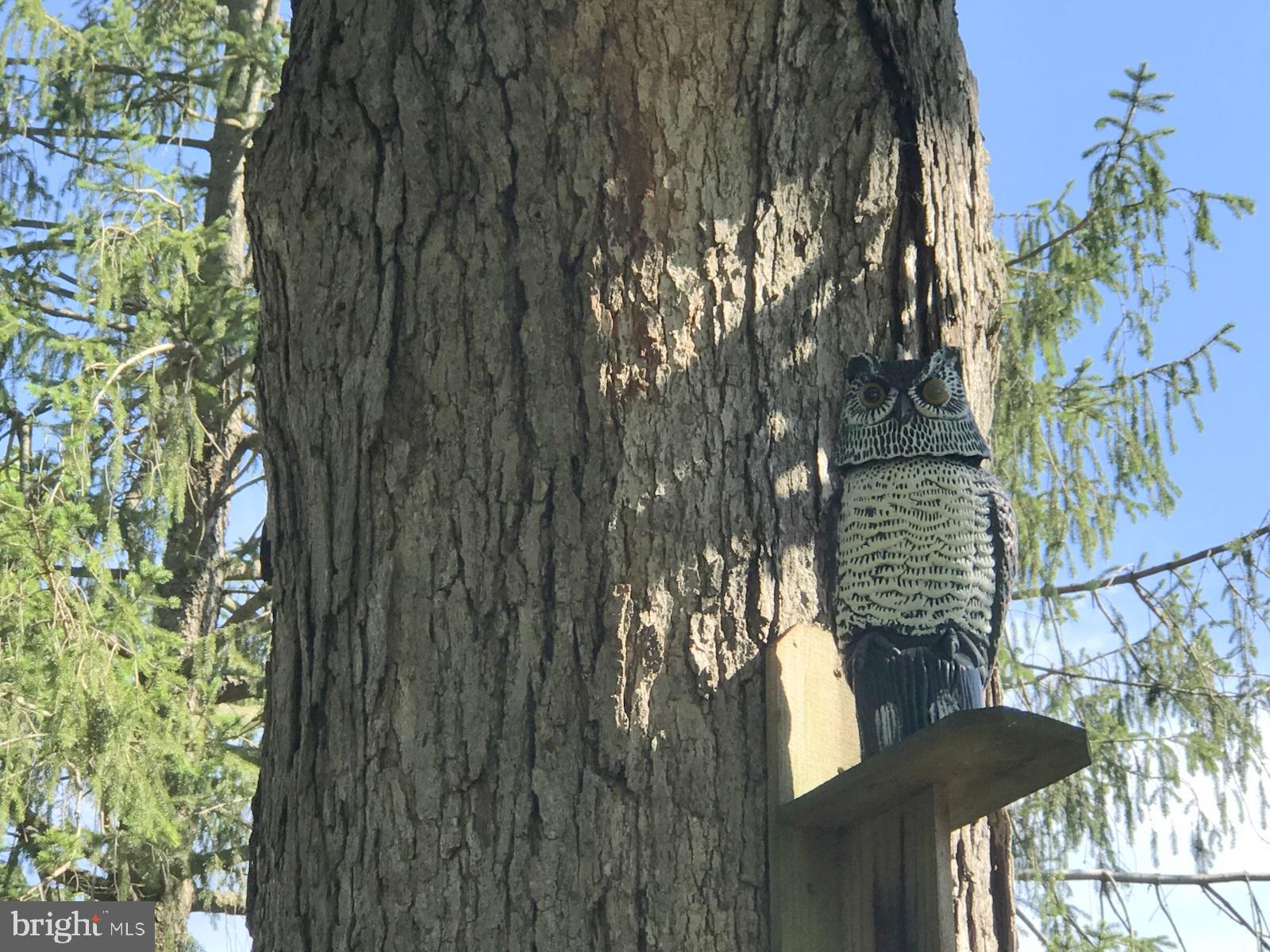 BALTIMORE COUNTY - Residential