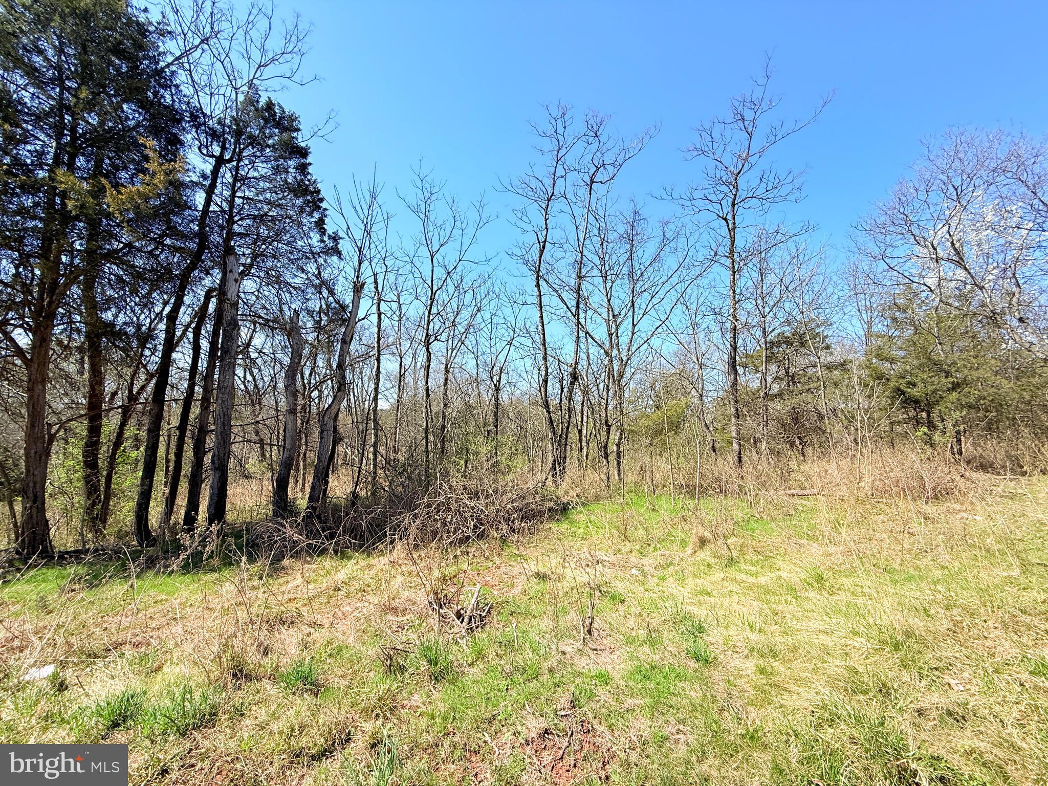 10204 PIPER LANE